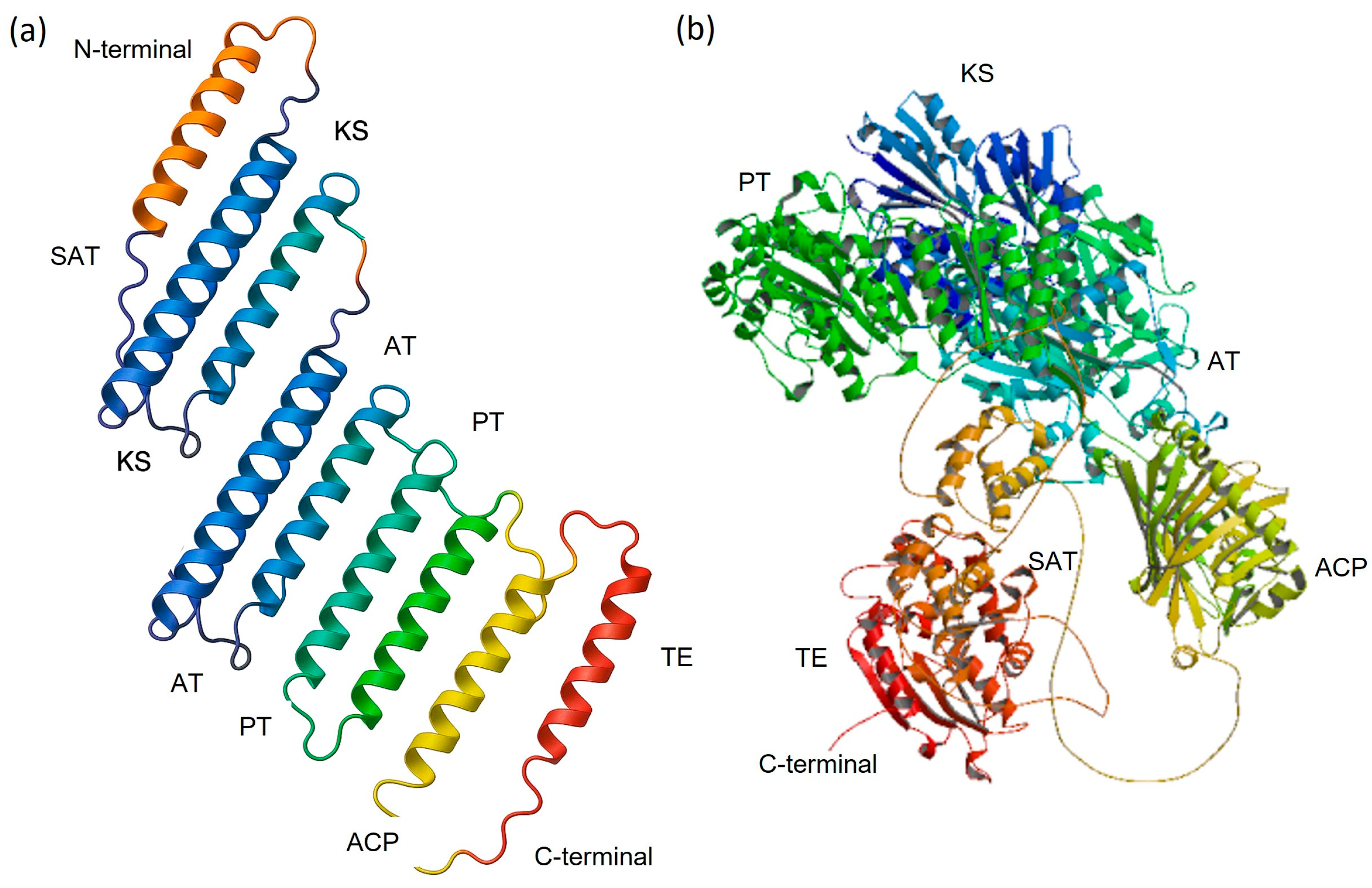 Jof 11 00641 g004 Jof 11 00641 g004