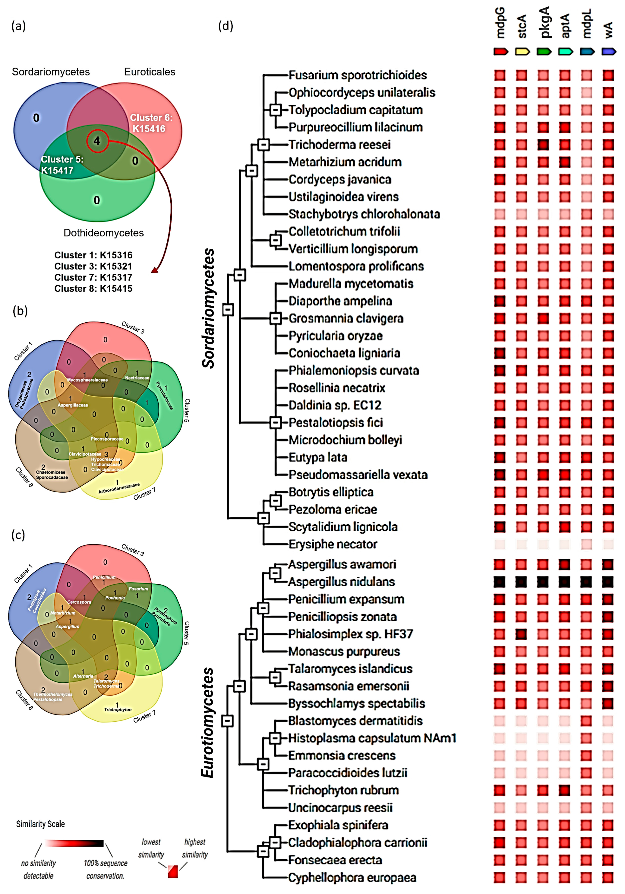Jof 11 00641 g005 Jof 11 00641 g005