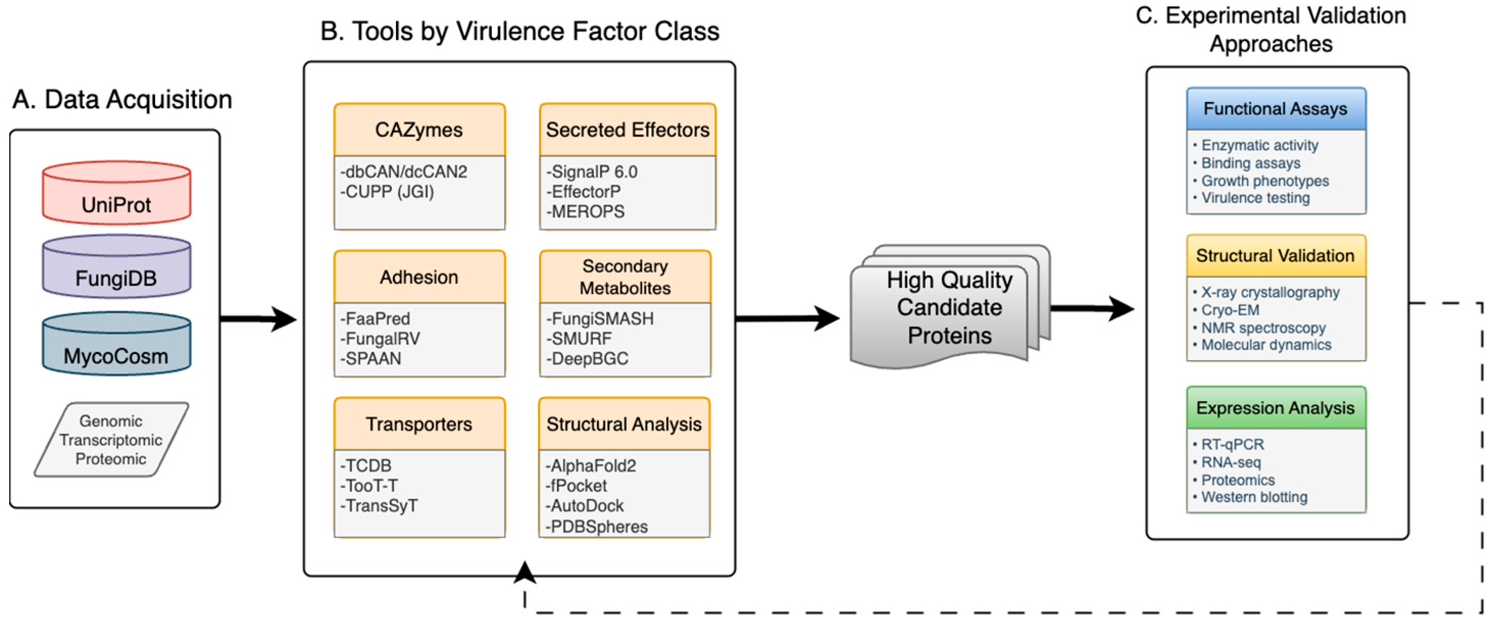 Jof 11 00754 g001 Jof 11 00754 g001