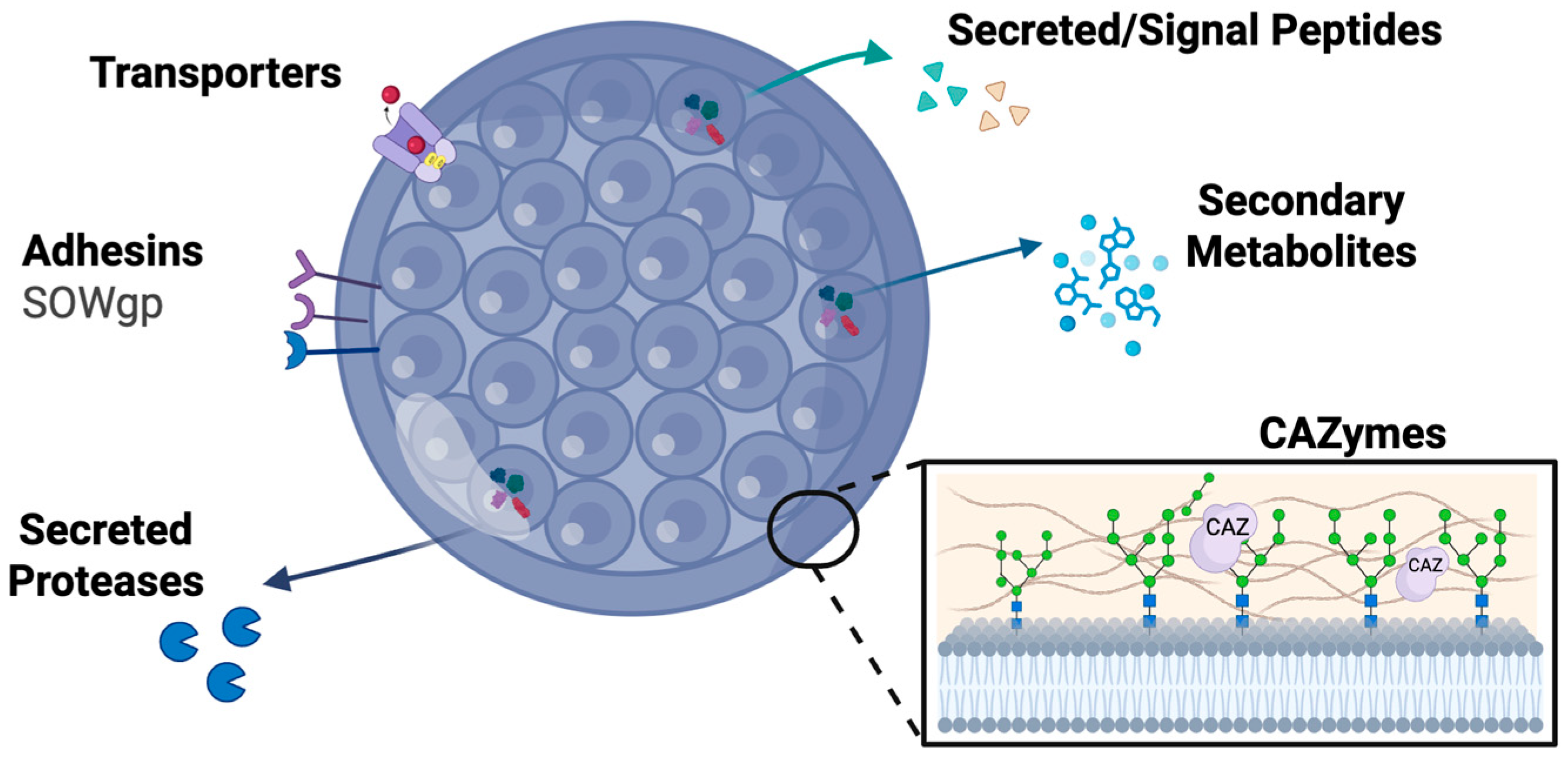 Jof 11 00754 g002 Jof 11 00754 g002