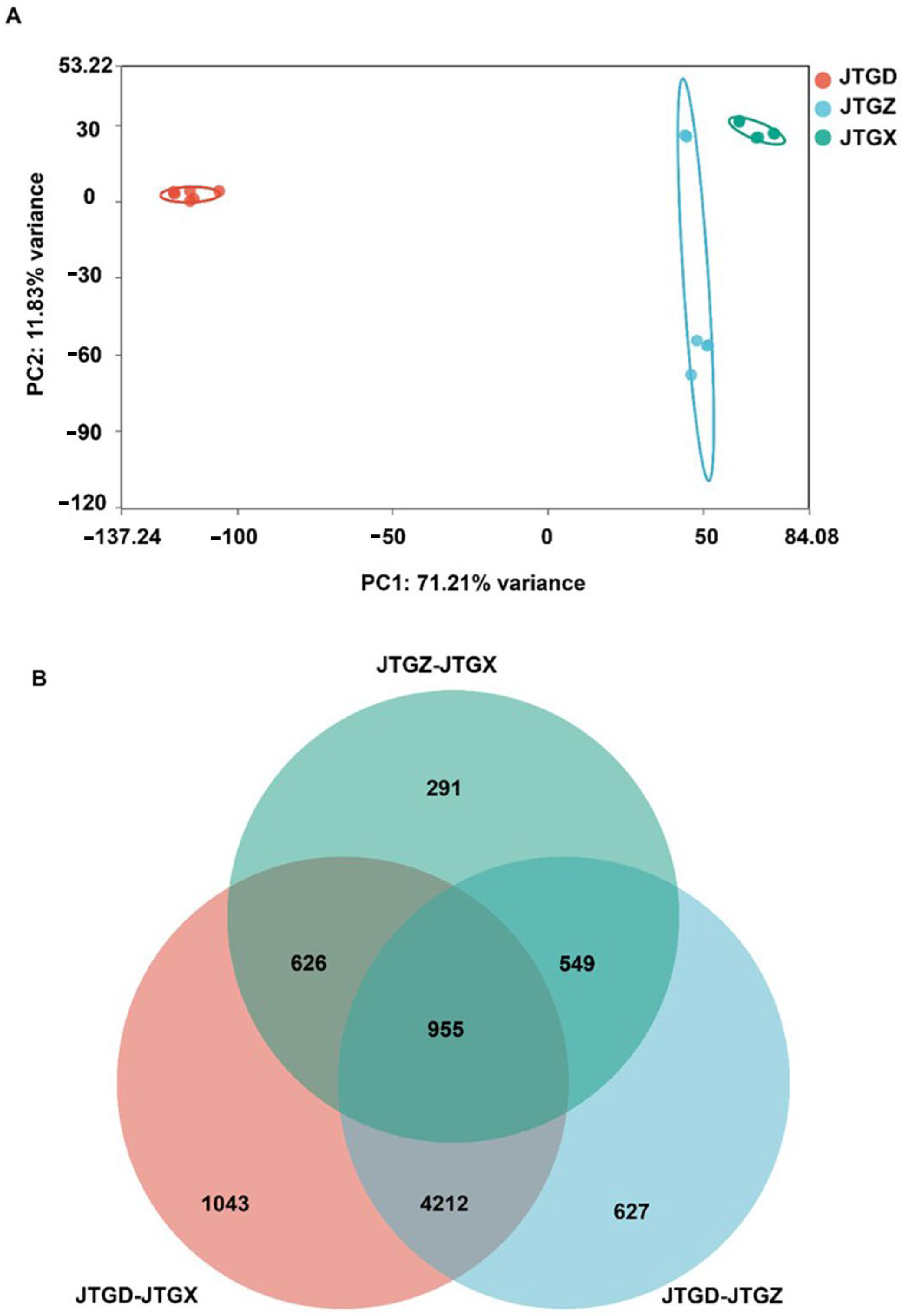 Jof 11 00849 g006 Jof 11 00849 g006