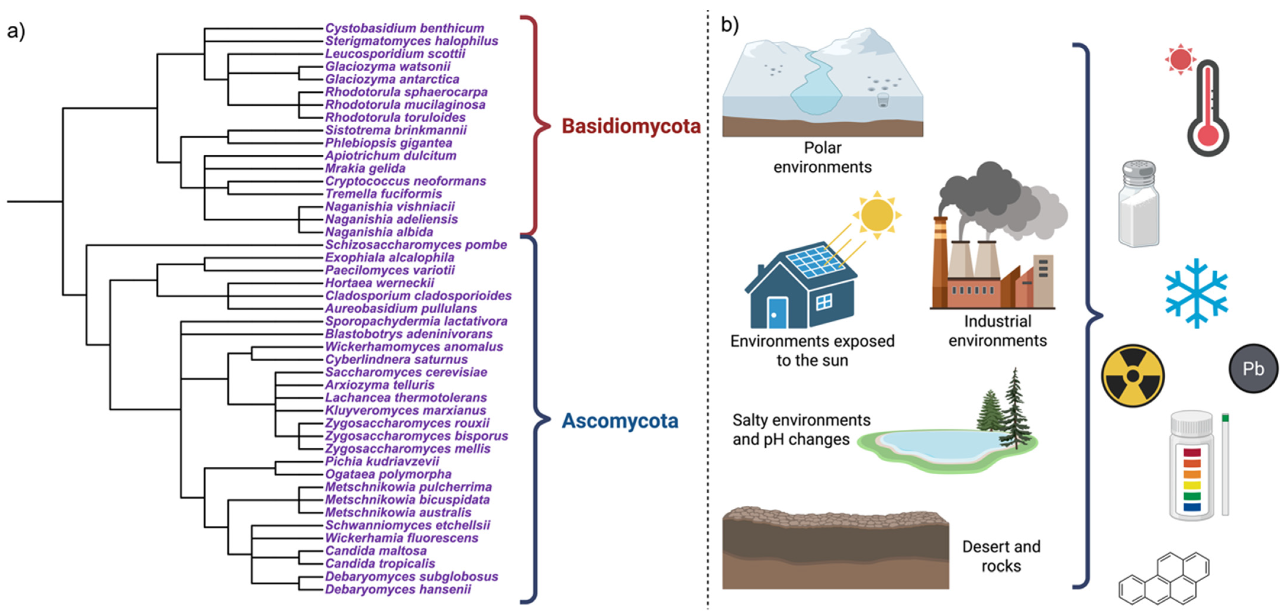 Jof 12 00092 g001 Jof 12 00092 g001