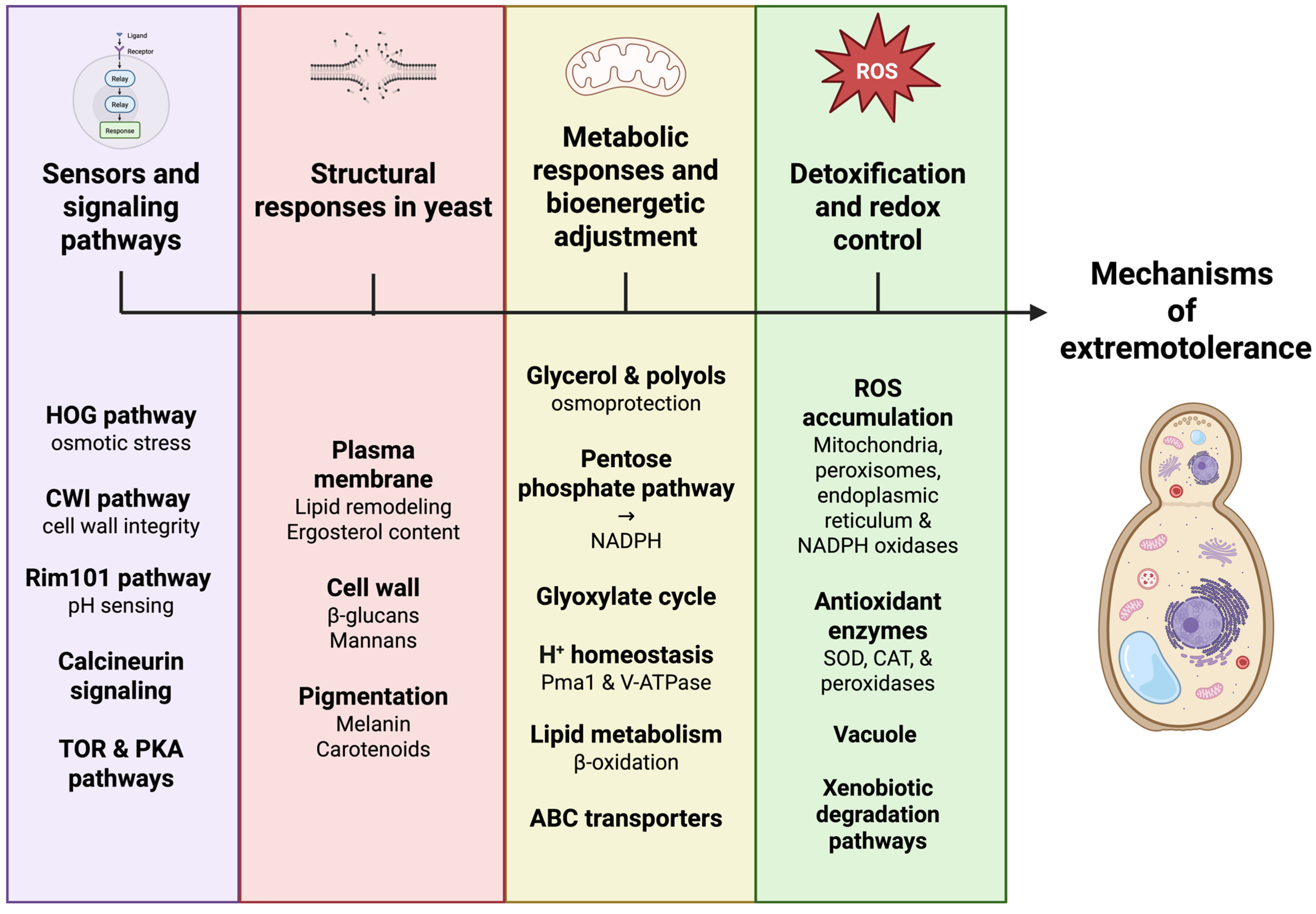 Jof 12 00092 g002 Jof 12 00092 g002
