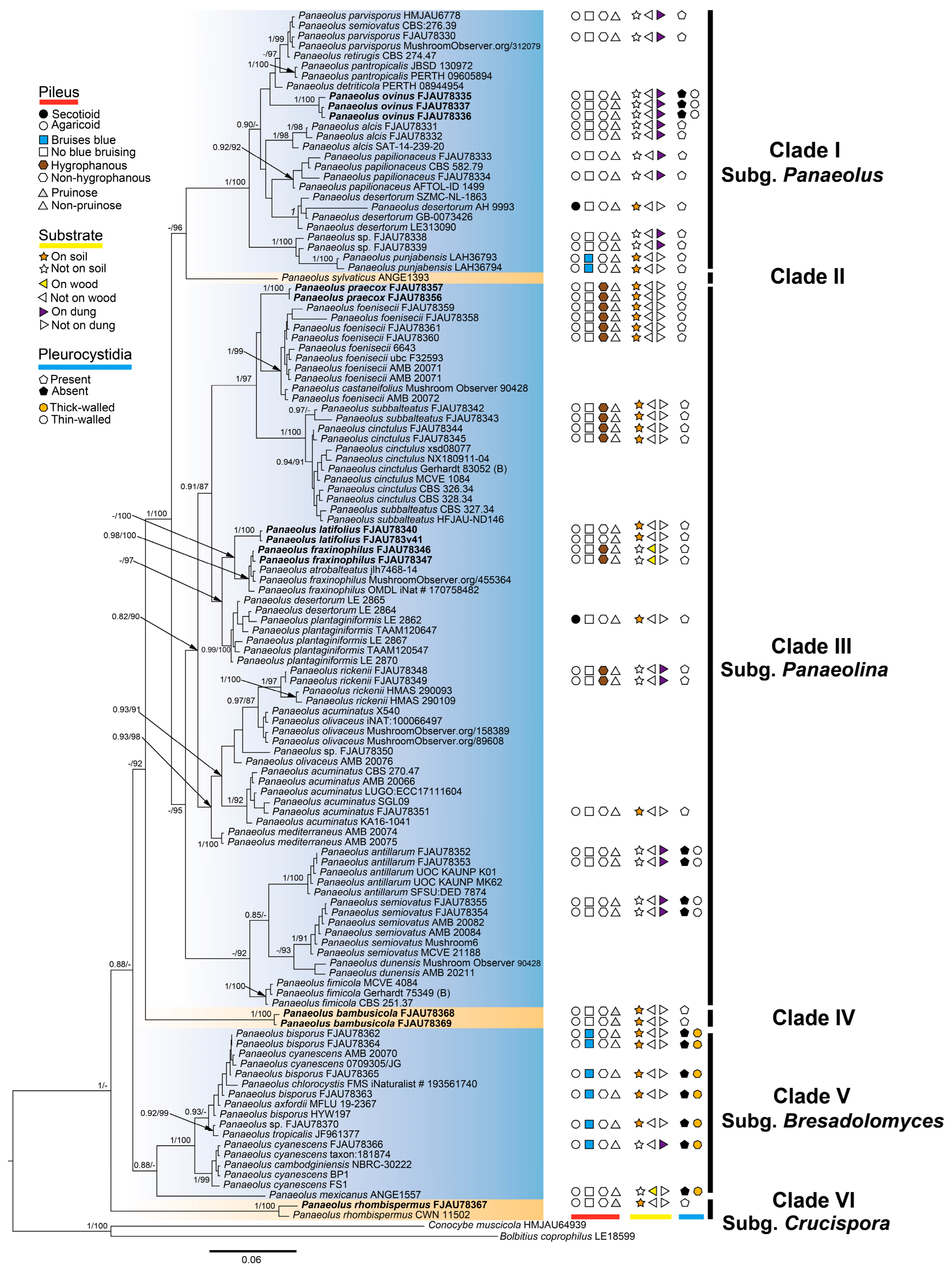 Jof 12 00182 g002 Jof 12 00182 g002