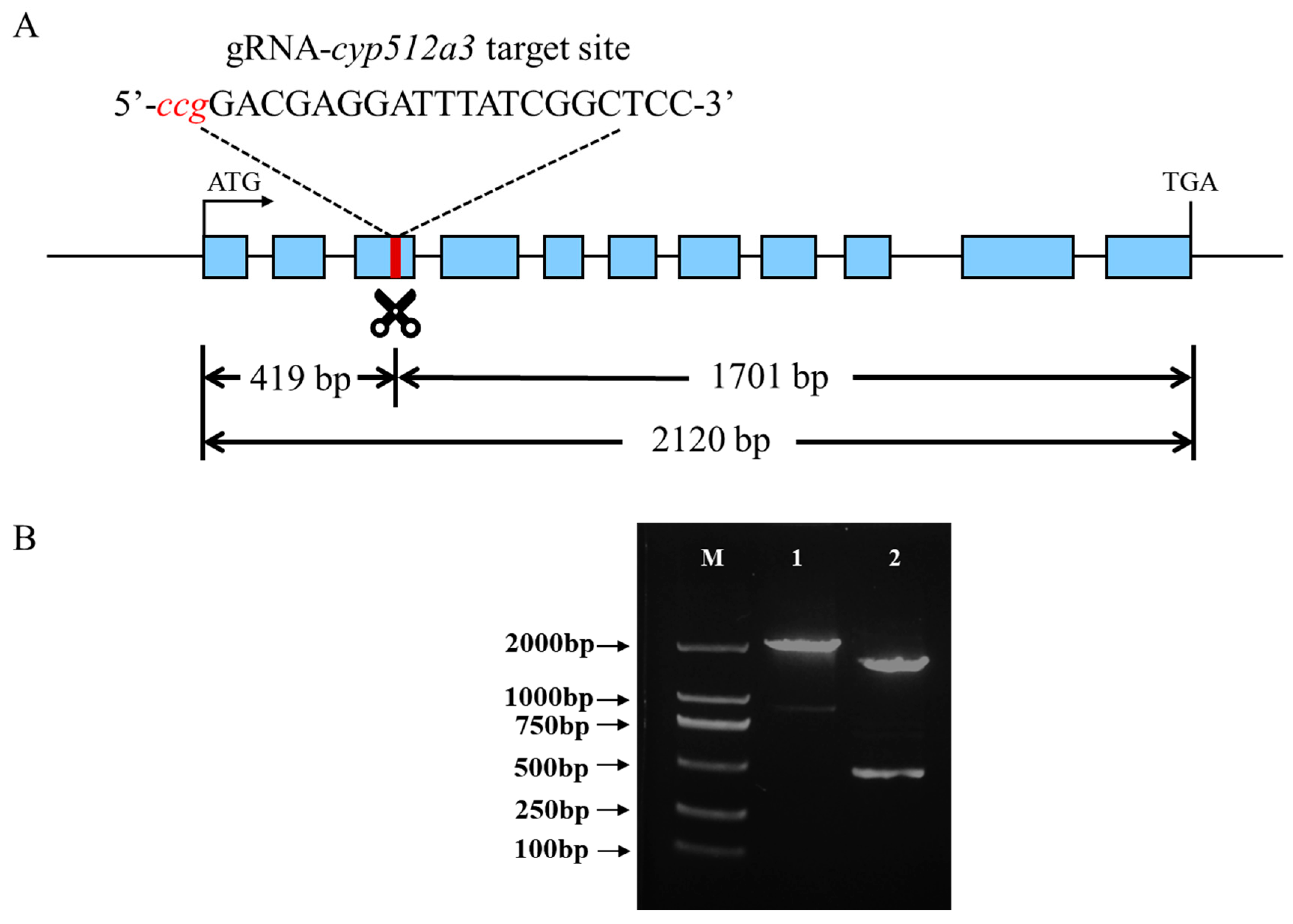 Jof 12 00183 g001 Jof 12 00183 g001