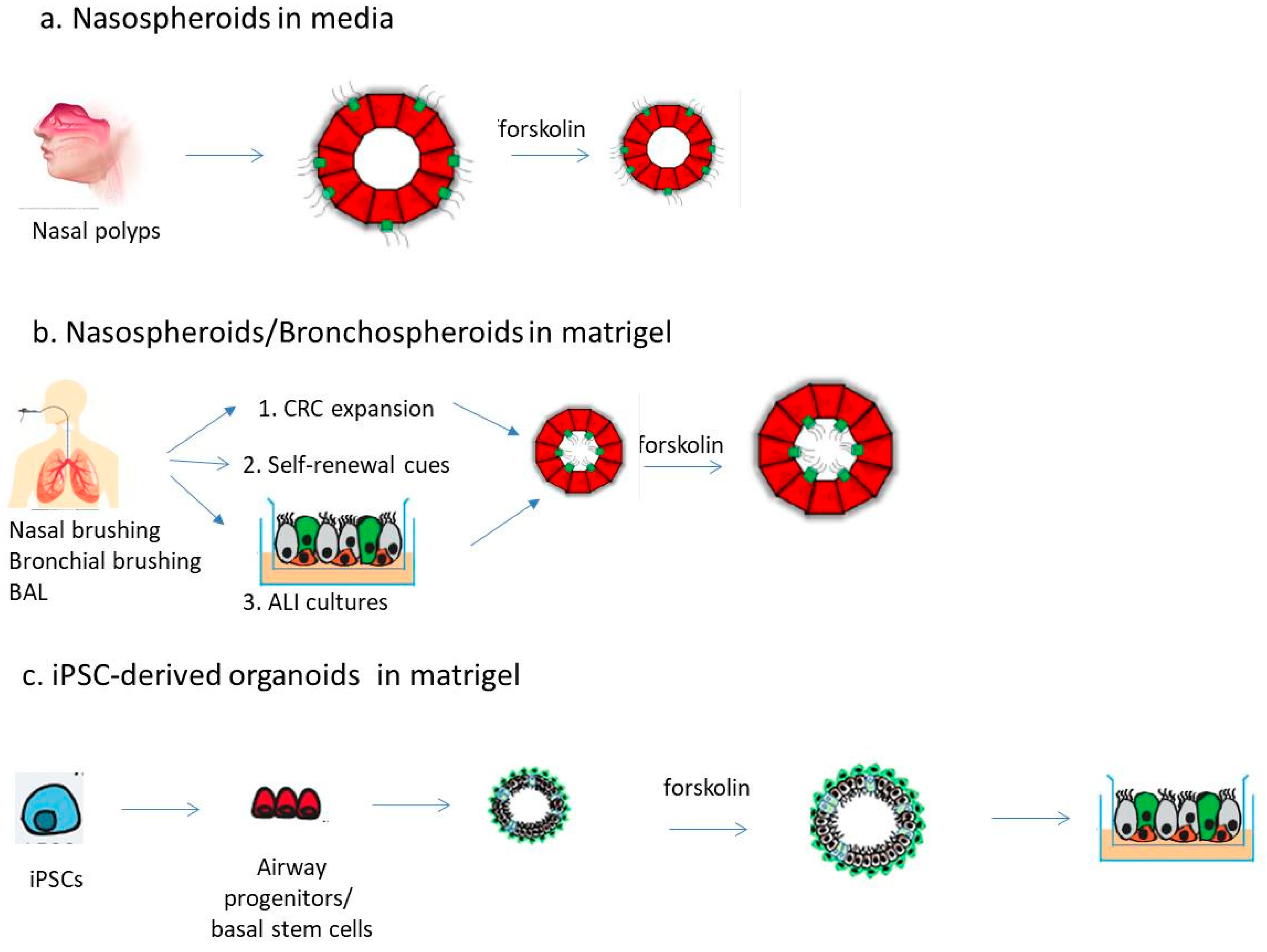 Jor 01 00022 g001 Jor 01 00022 g001