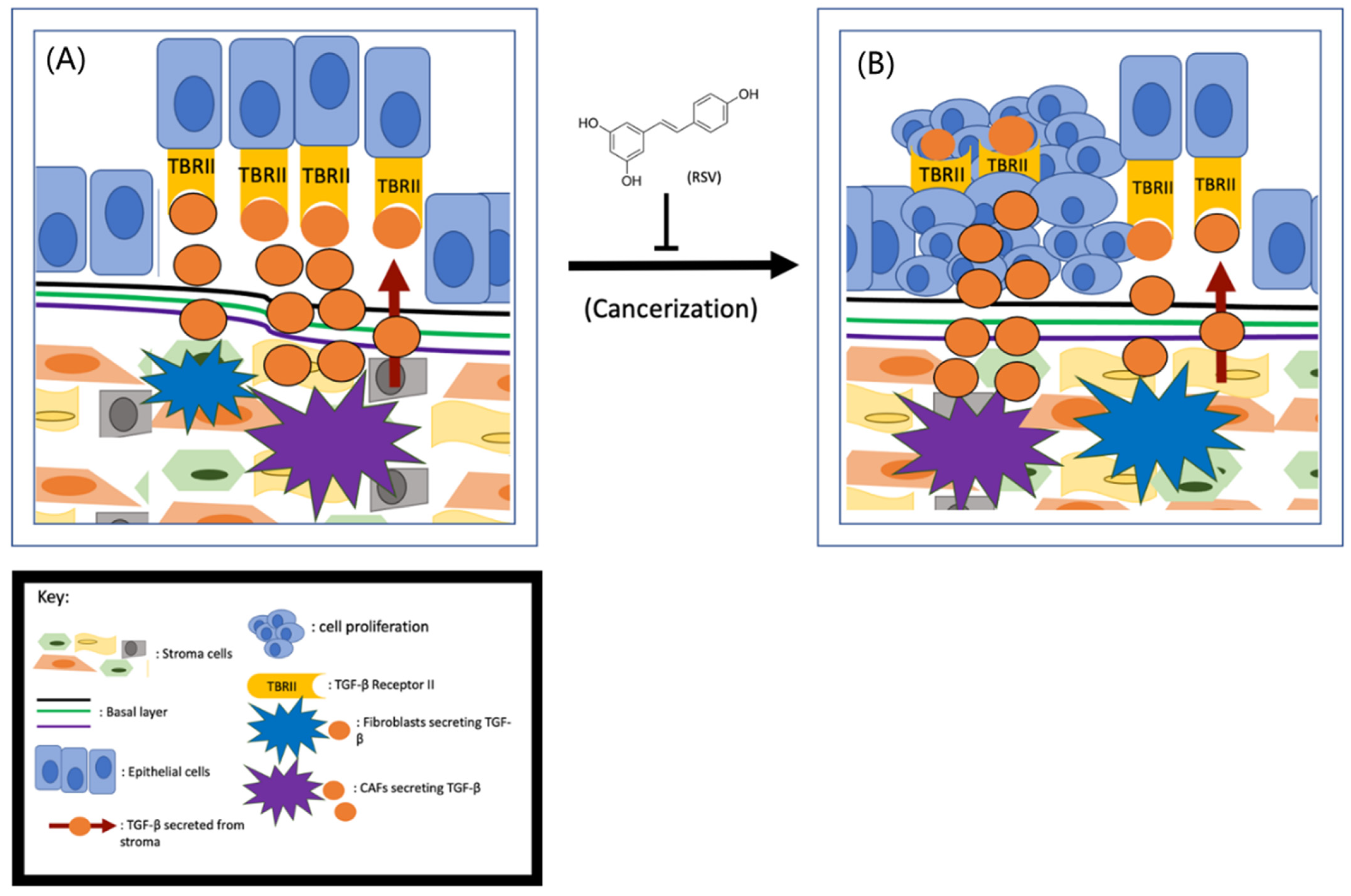 Jox 11 00002 g001 Jox 11 00002 g001