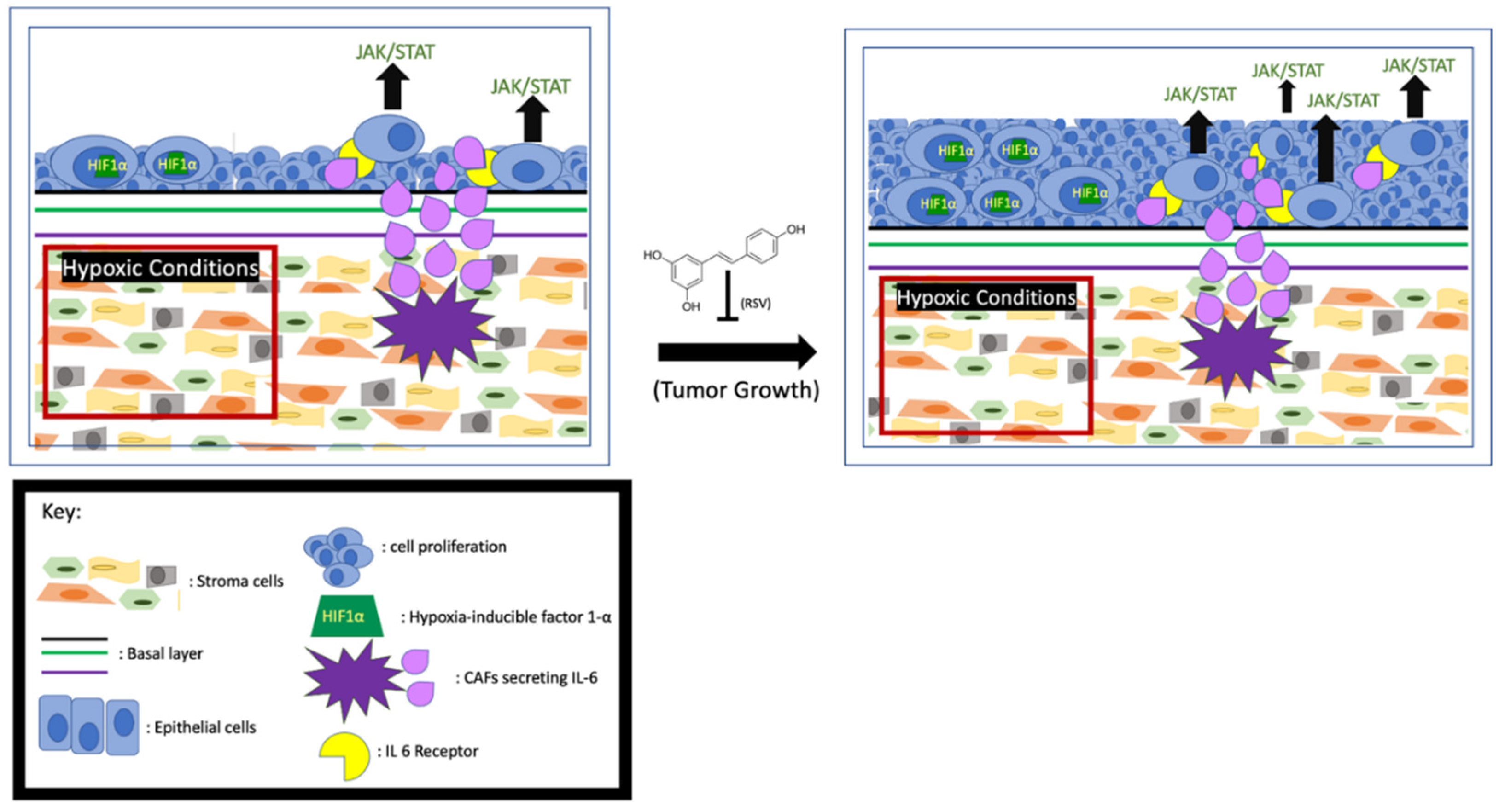 Jox 11 00002 g002 Jox 11 00002 g002