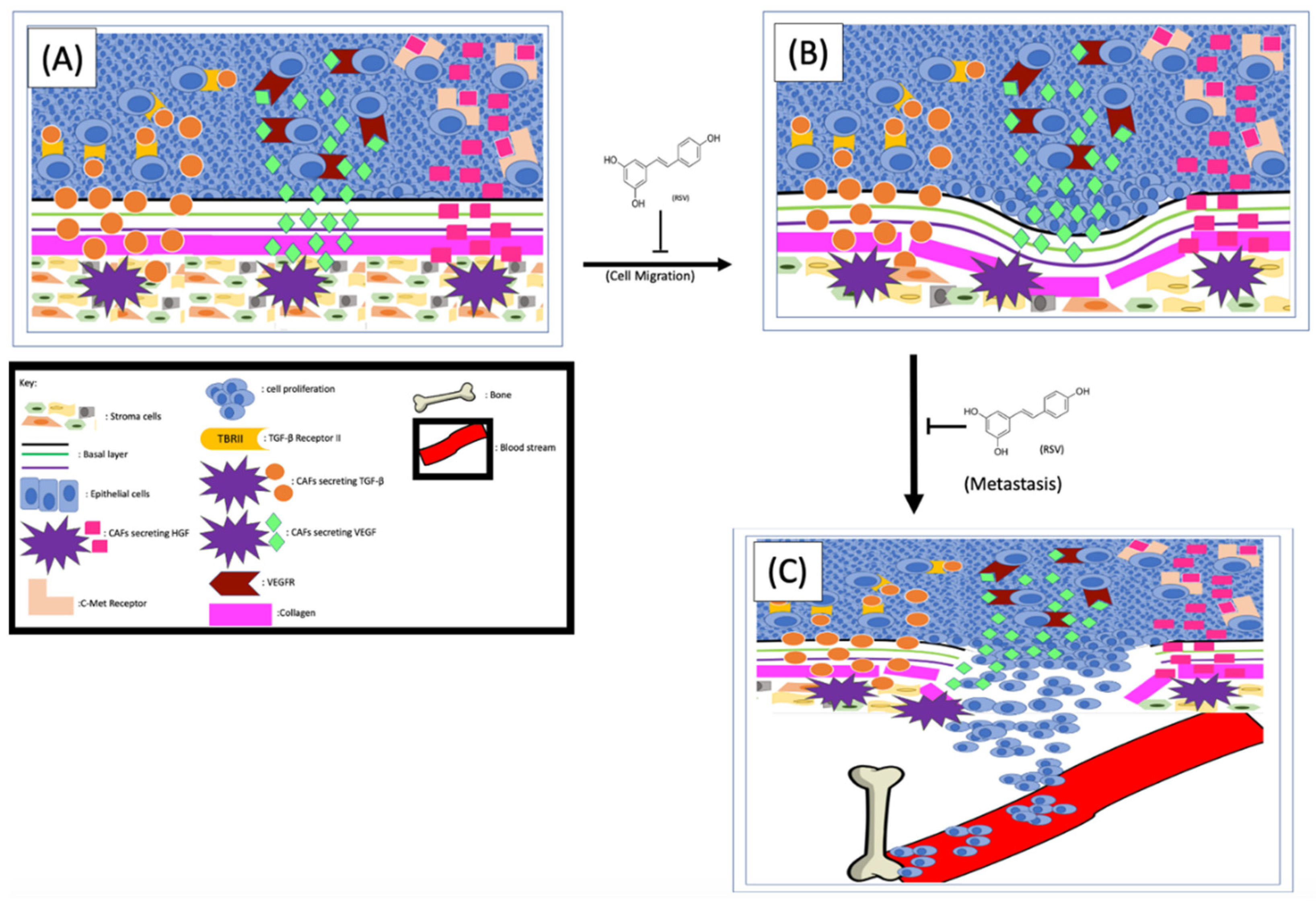 Jox 11 00002 g003 Jox 11 00002 g003