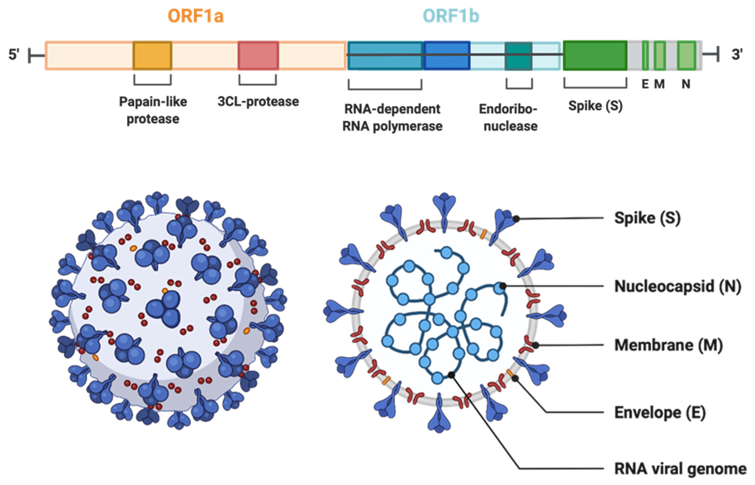 Jox 12 00020 g001 Jox 12 00020 g001