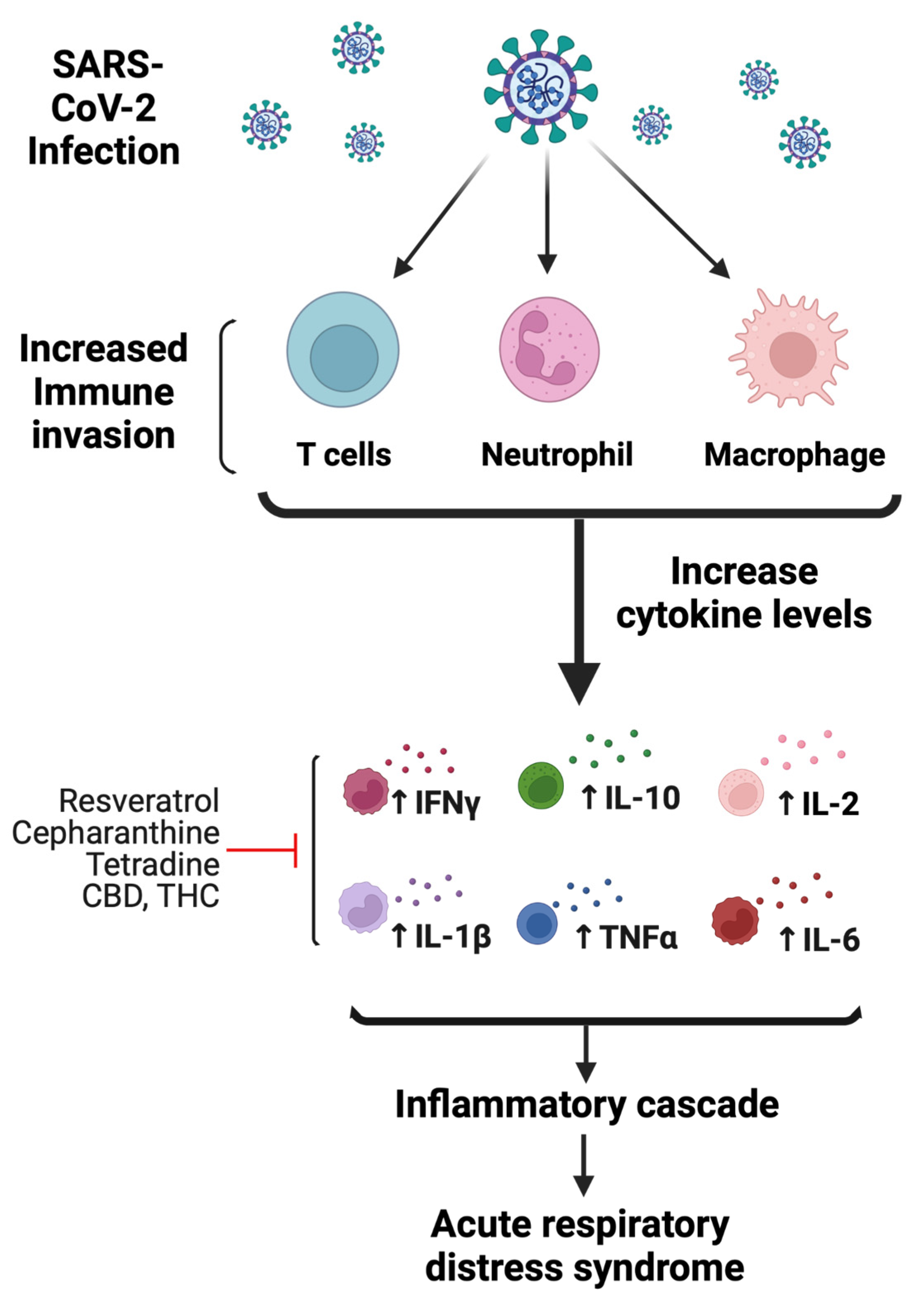 Jox 12 00020 g004 Jox 12 00020 g004