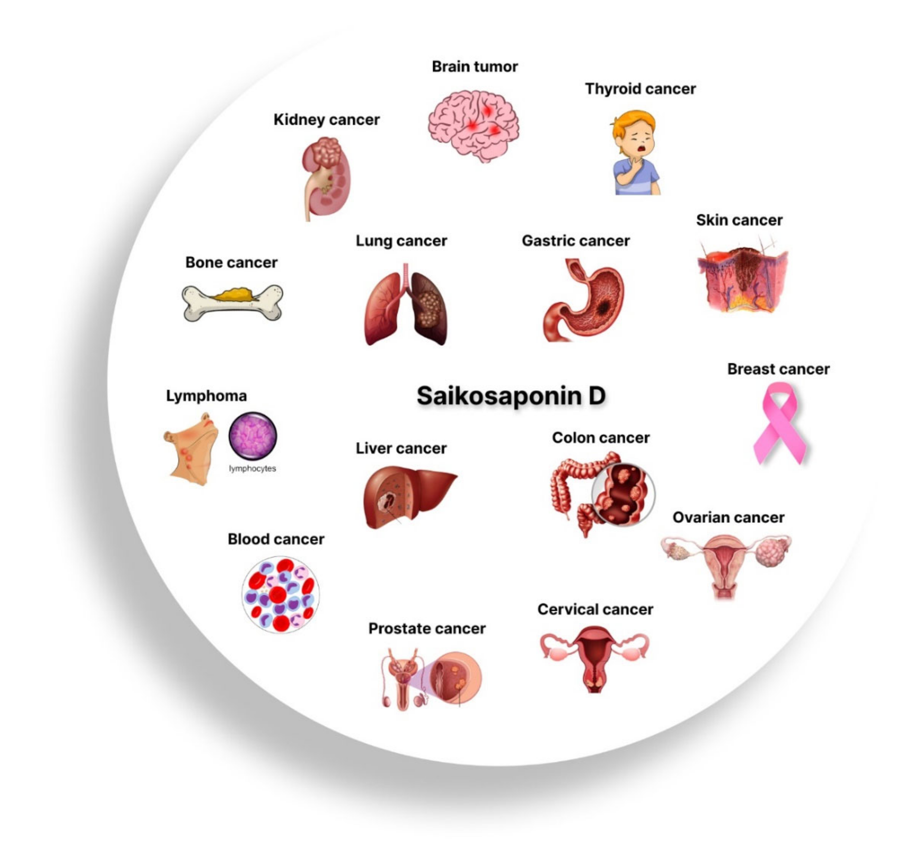 Jox 12 00027 g002 Jox 12 00027 g002