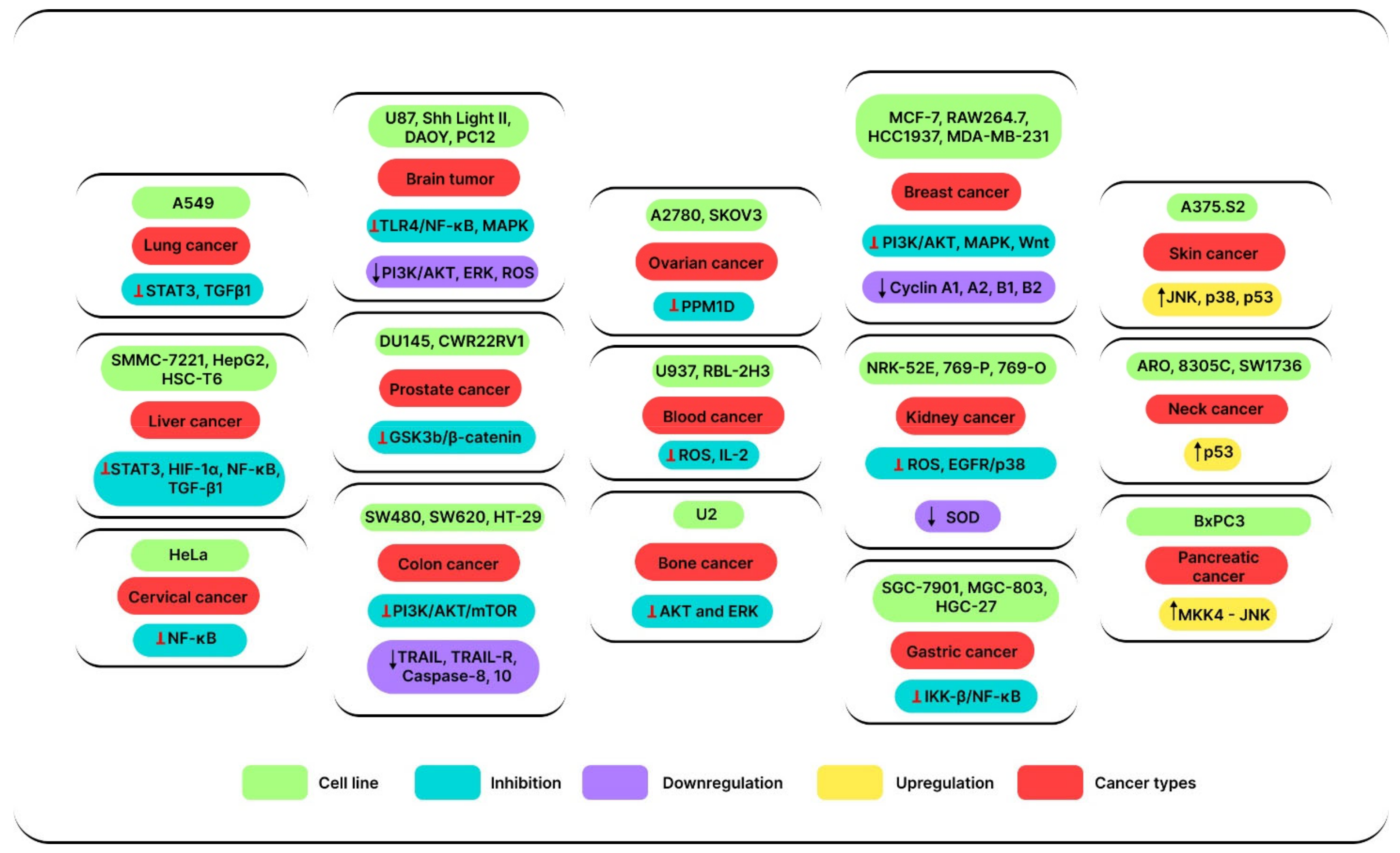 Jox 12 00027 g004 Jox 12 00027 g004