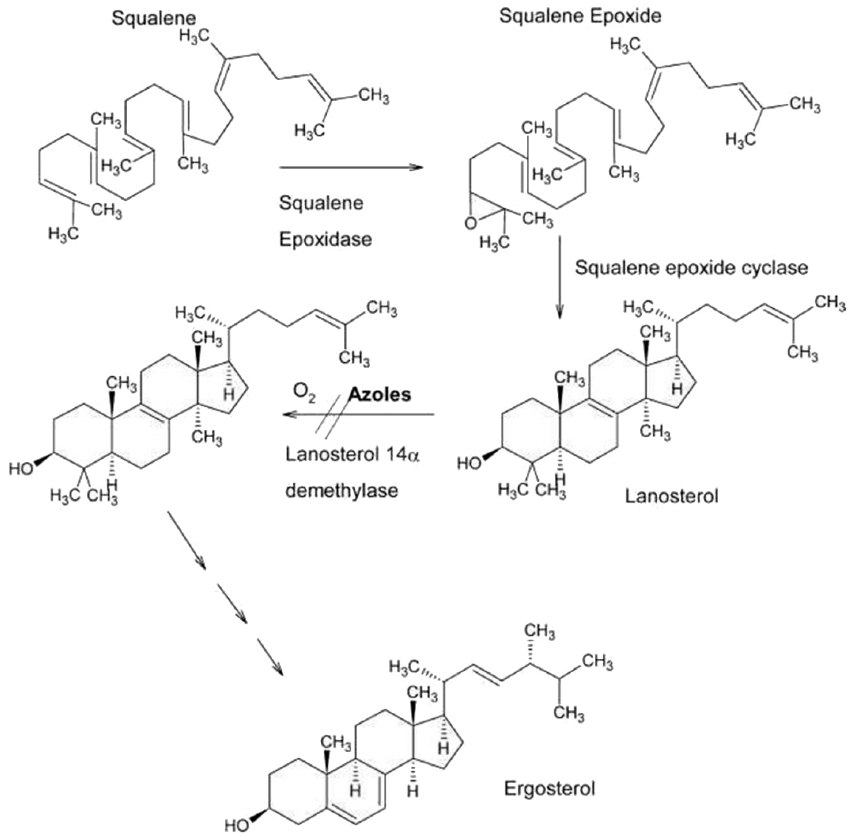Jox 13 00023 g001 Jox 13 00023 g001