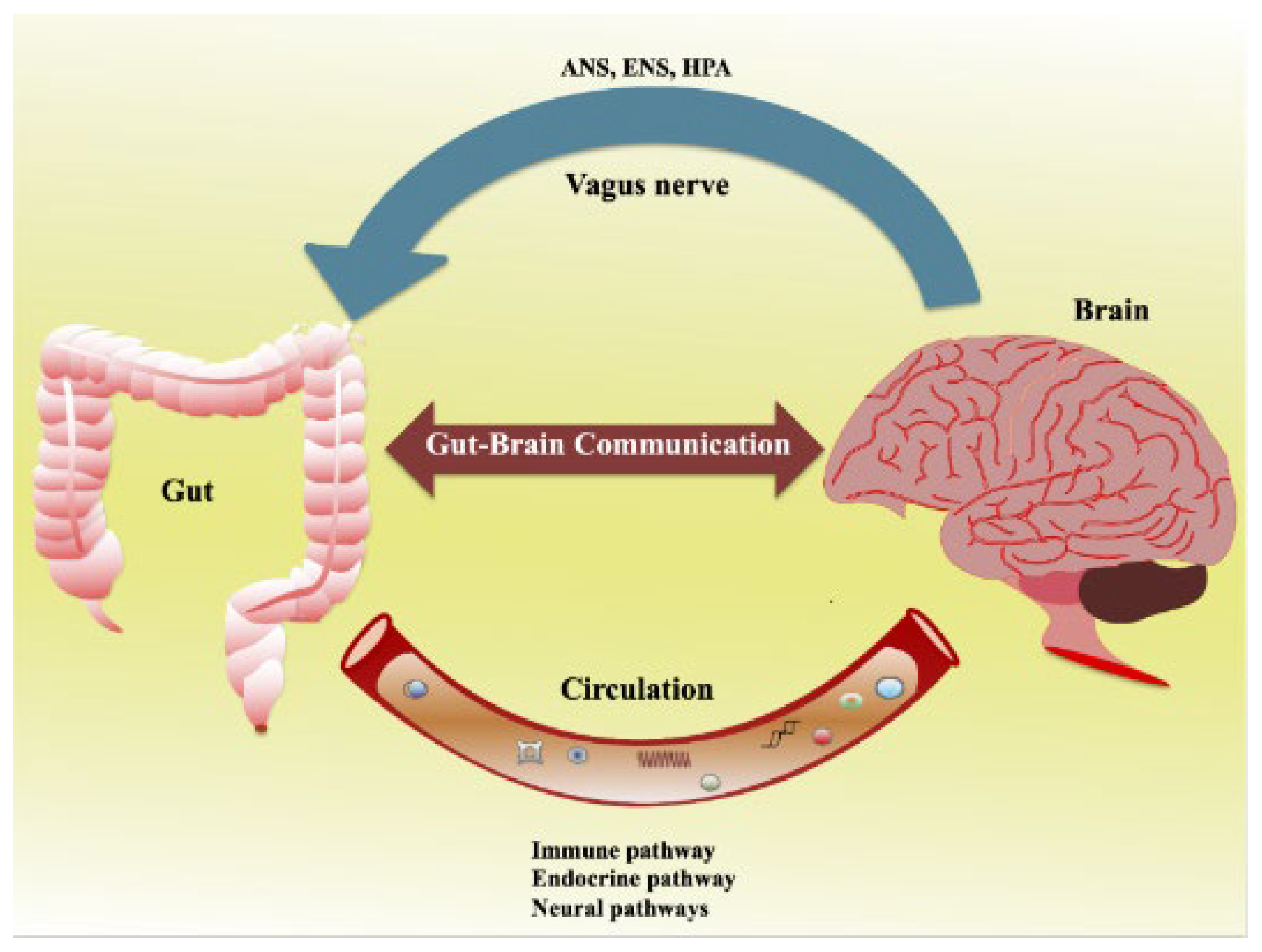 Jox 13 00025 g002 Jox 13 00025 g002