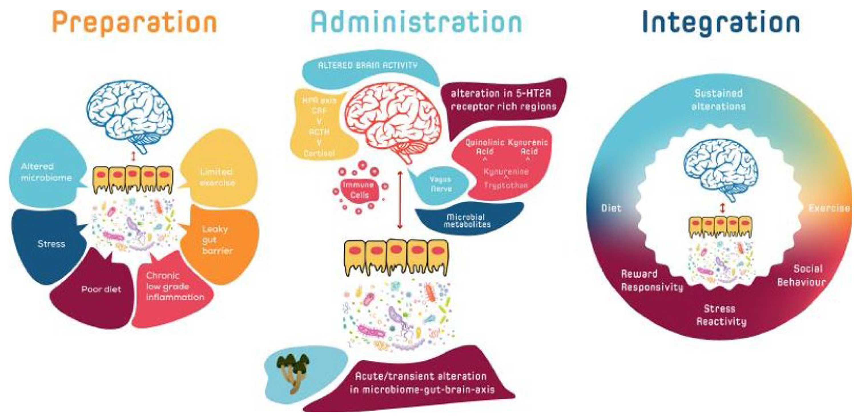 Jox 13 00025 g003 Jox 13 00025 g003