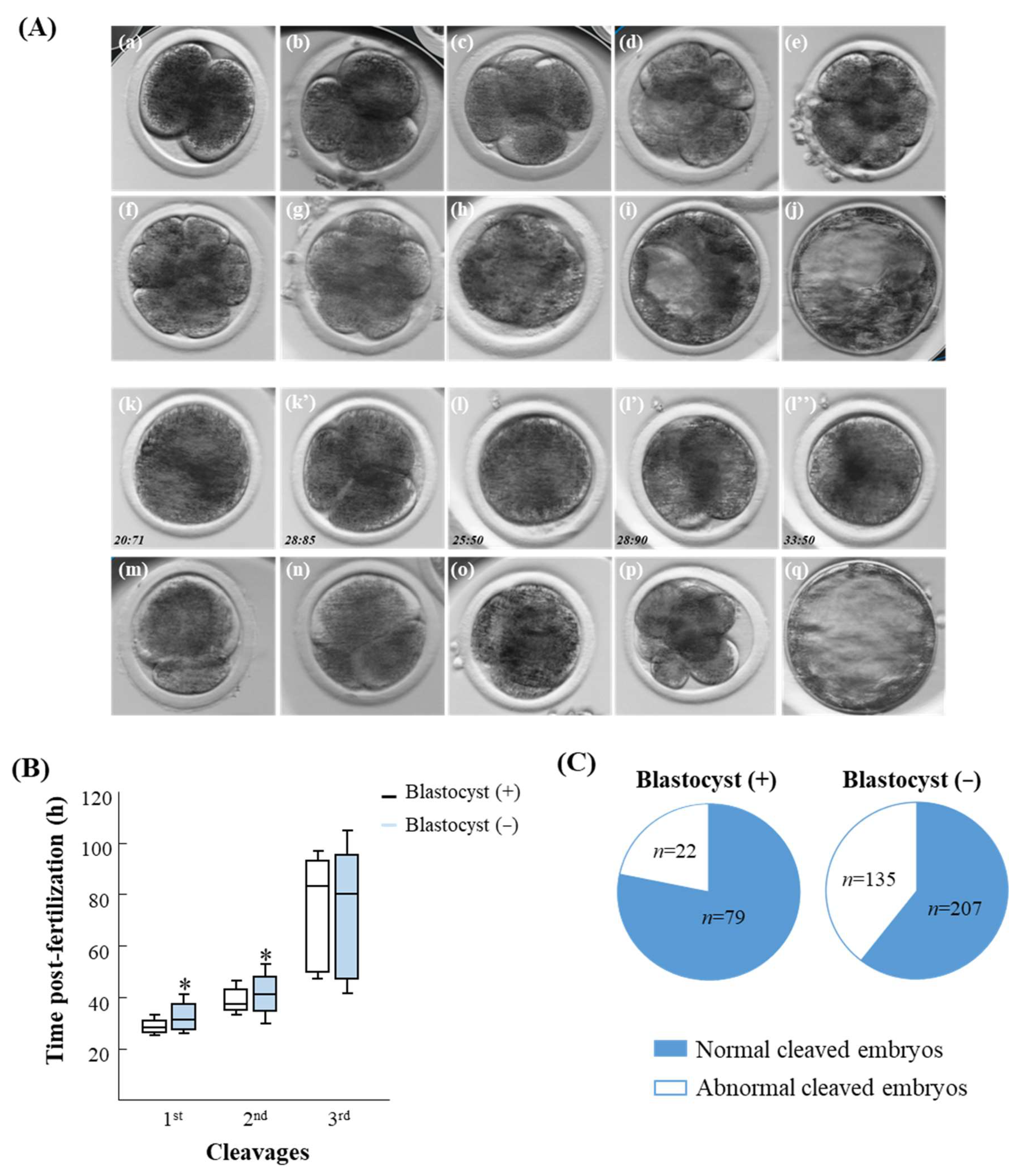 Jox 14 00087 g001 Jox 14 00087 g001