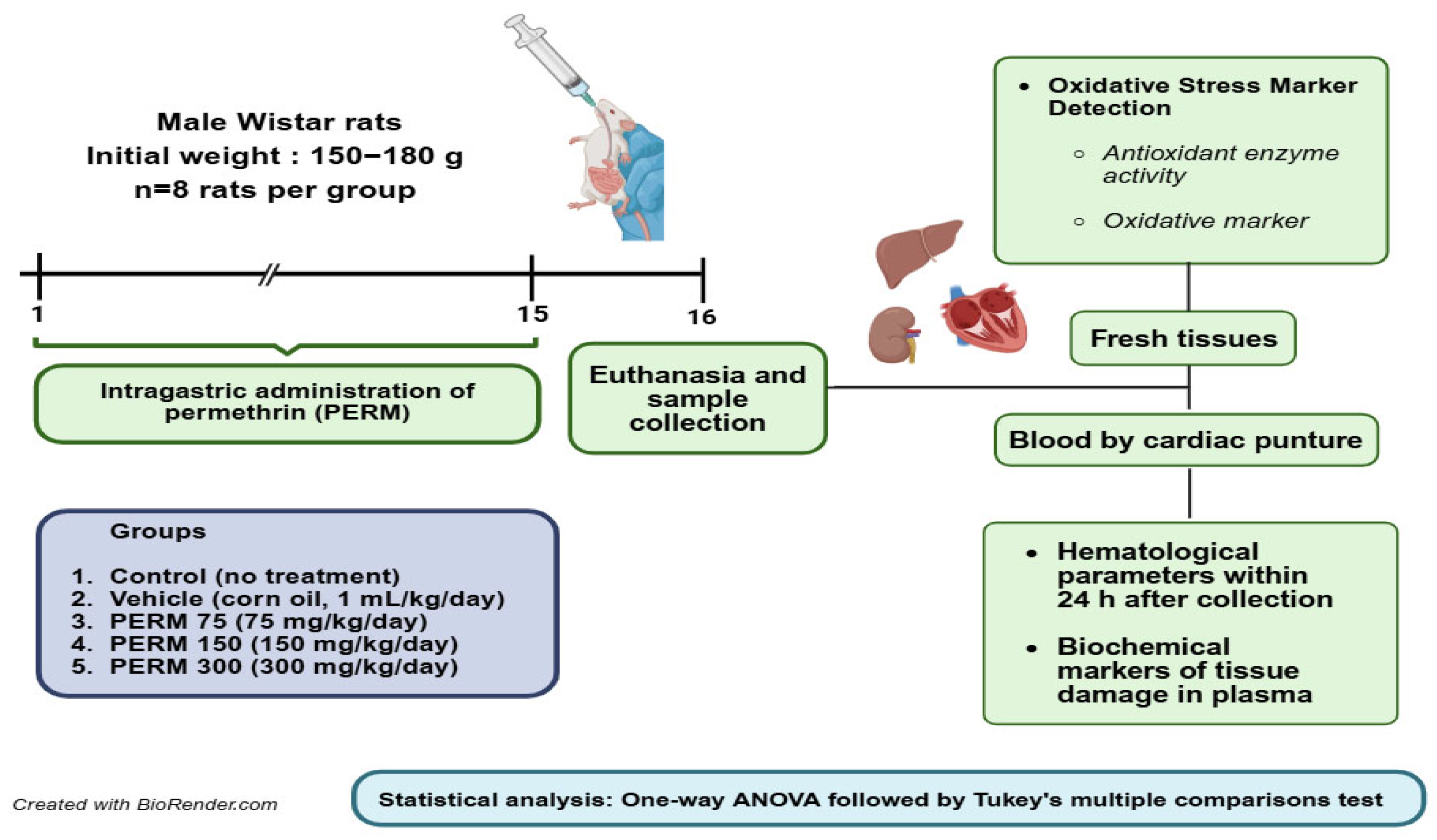 Jox 15 00183 g001 Jox 15 00183 g001