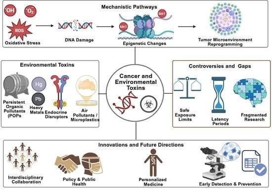 Flowchart showing the study selection process for inclusion in the review. Created in BioRender. Busselberg, D. (2025) https://BioRender.com/omql52t. acceesed on 12 November 2025.