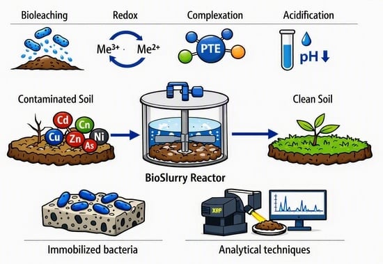 Advances in Bioslurry Remediation of Potentially Toxic Elements (PTEs ...