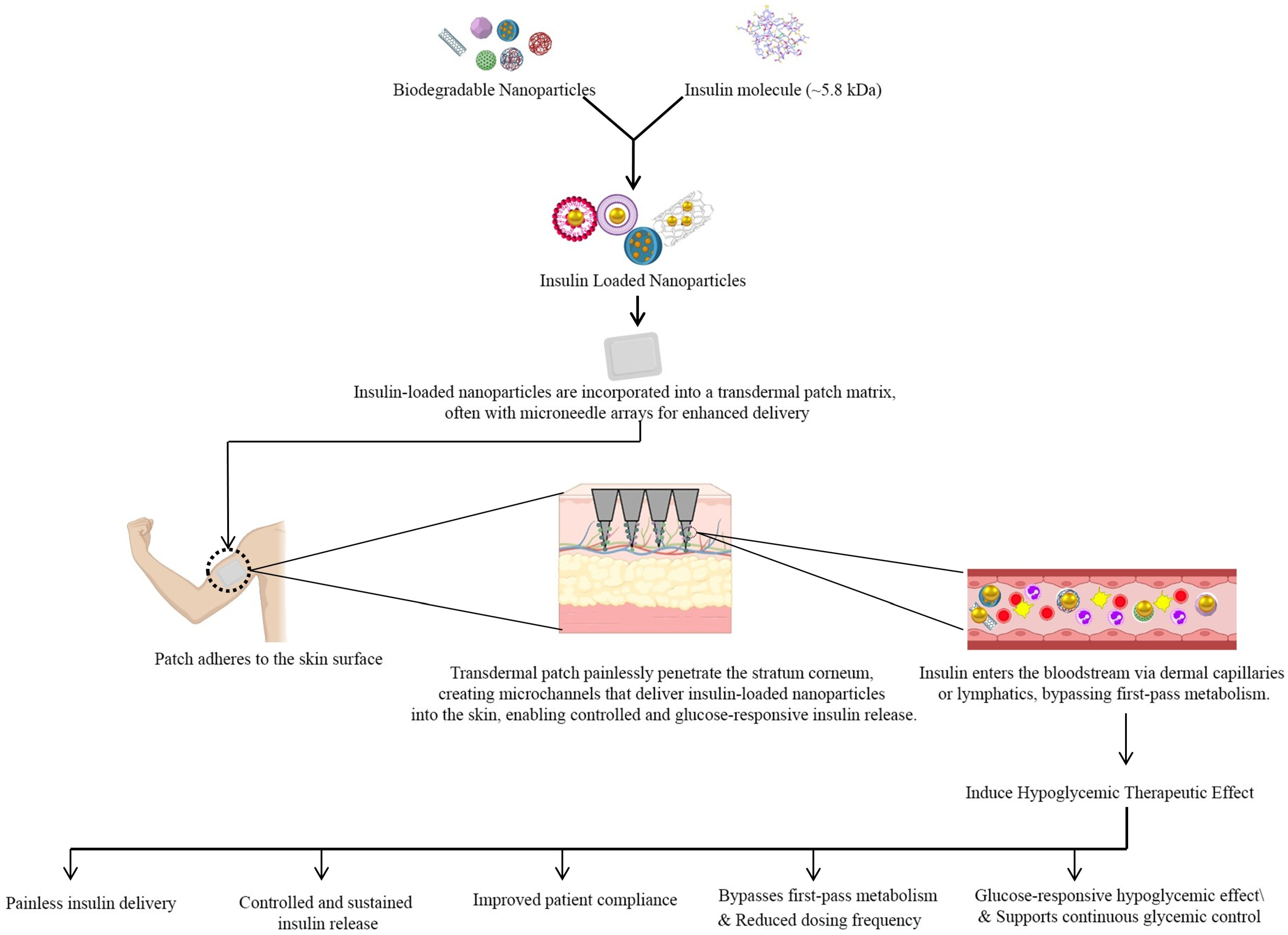 Jpbi 03 00005 g001 Jpbi 03 00005 g001