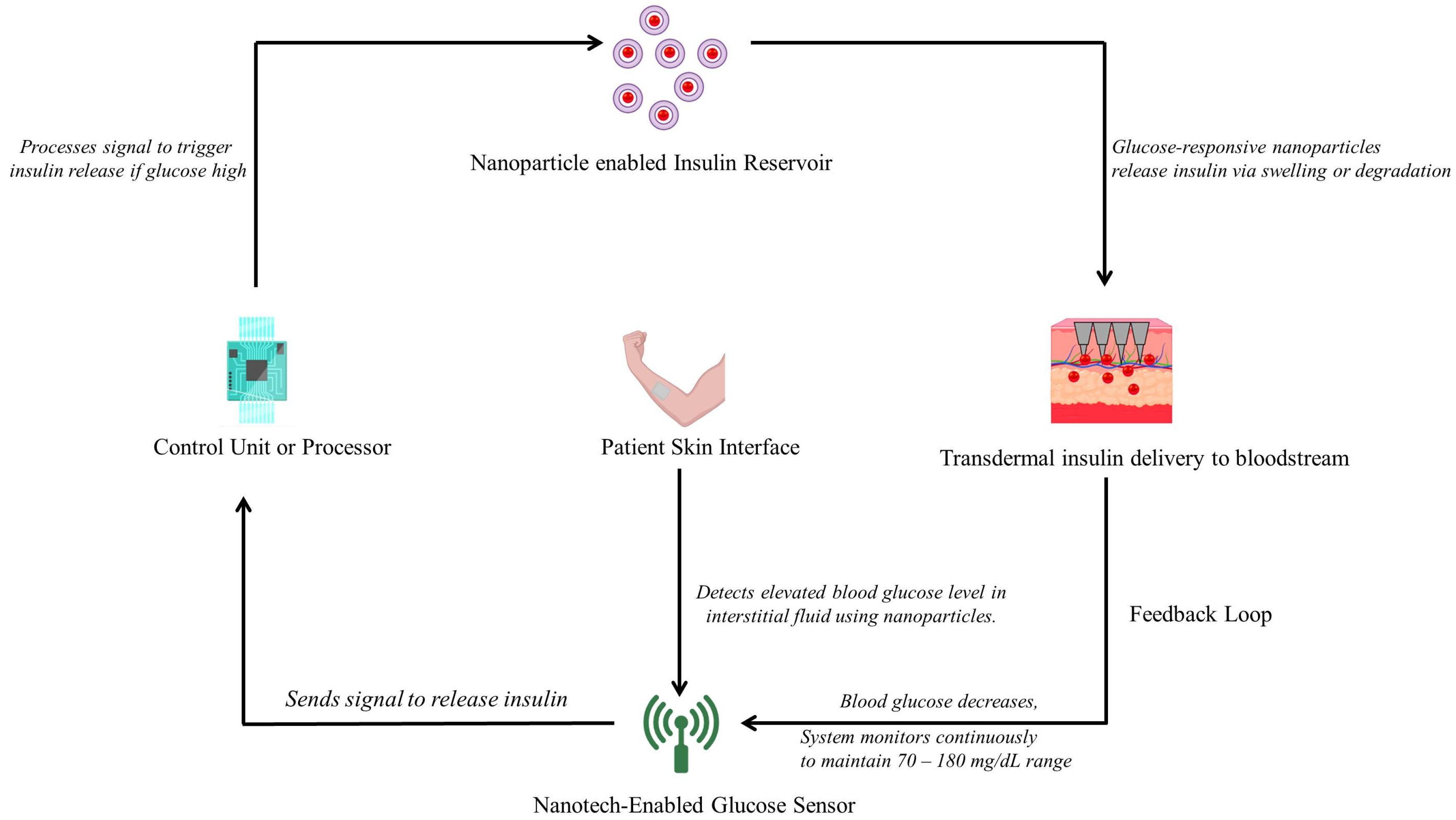 Jpbi 03 00005 g002 Jpbi 03 00005 g002