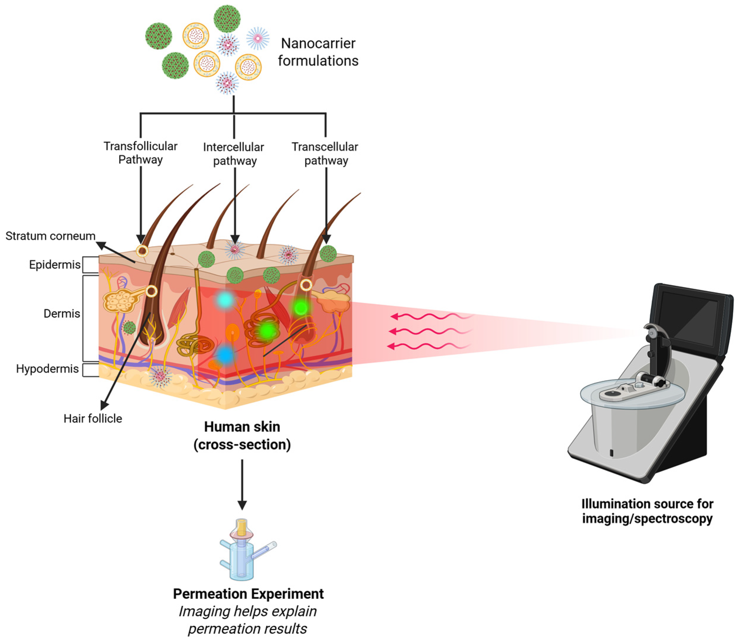 Jpbi 03 00005 g003 Jpbi 03 00005 g003