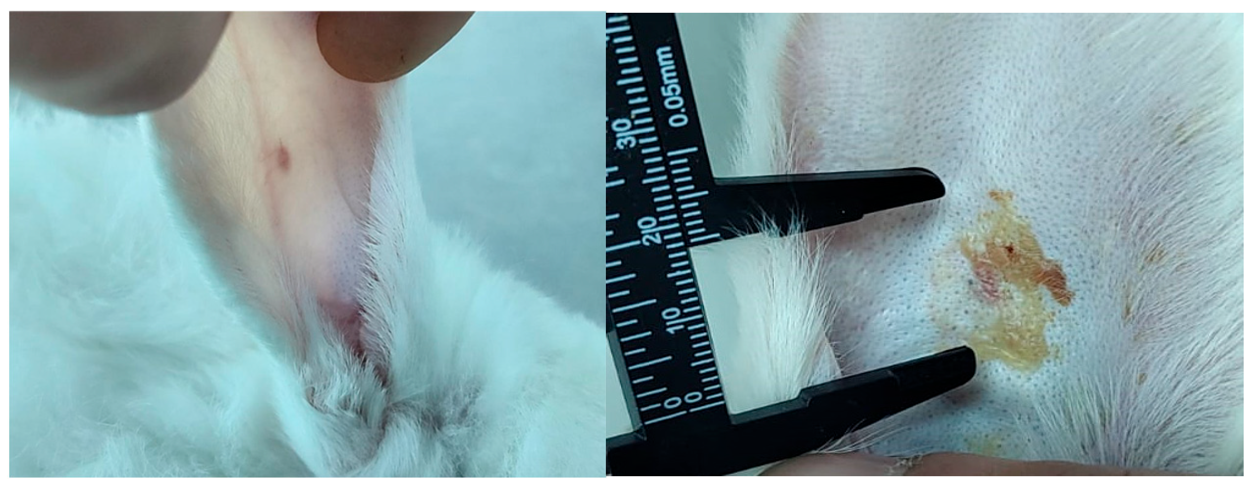 Jpbi 03 00008 g002 Jpbi 03 00008 g002