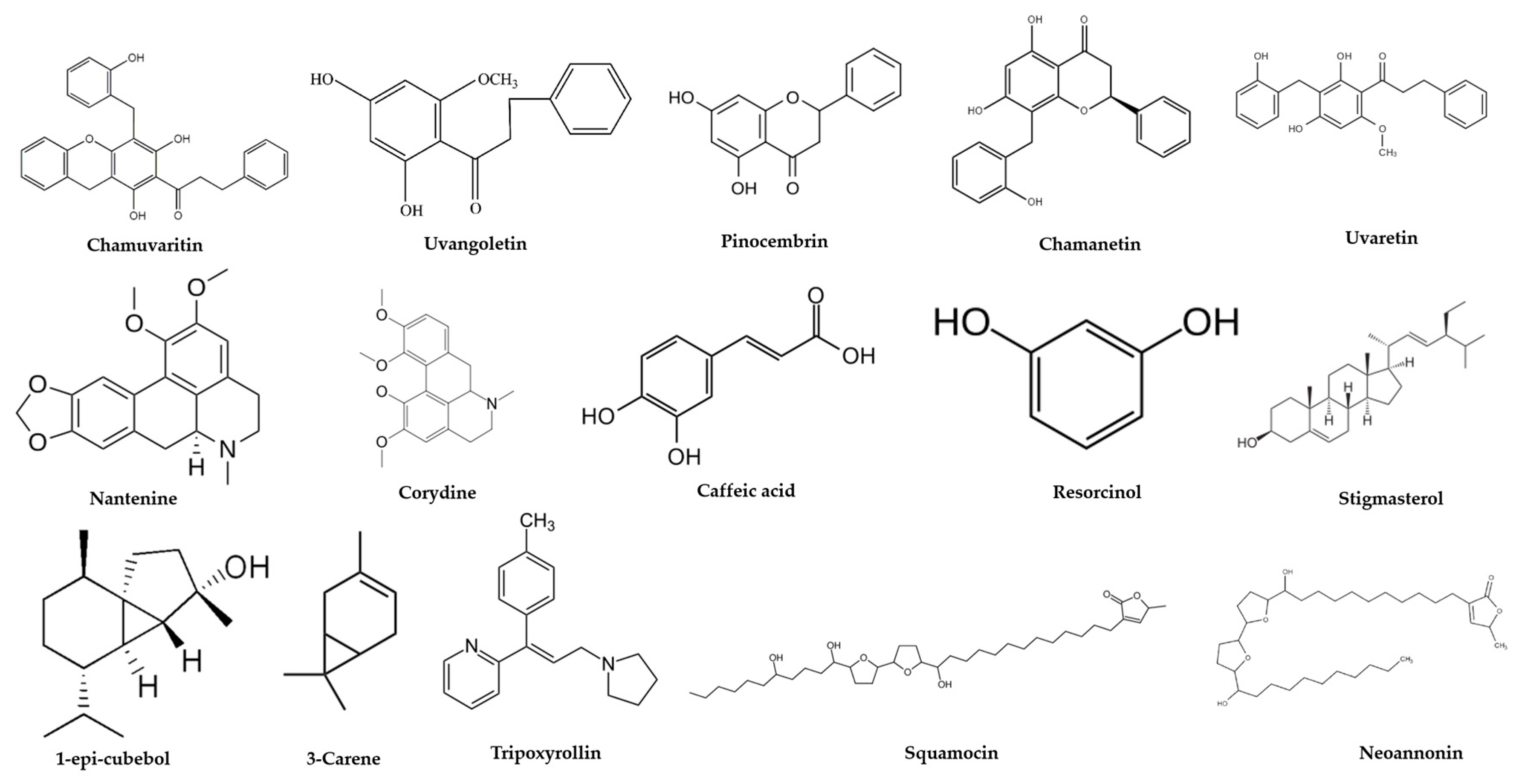 Jphytomed 01 00011 g008