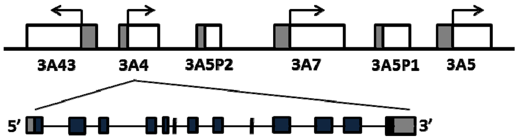 Jpm 02 00175 g001 1024