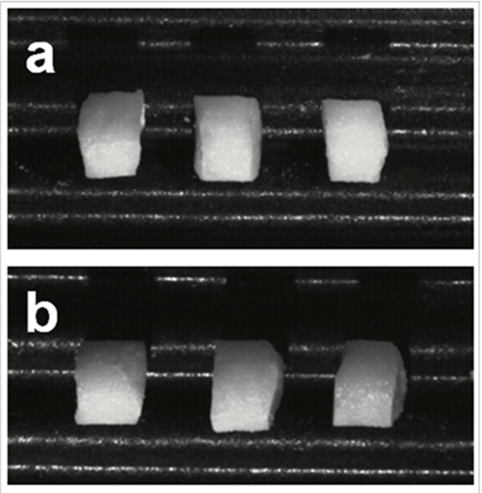 Jpm 02 00217 g006 1024