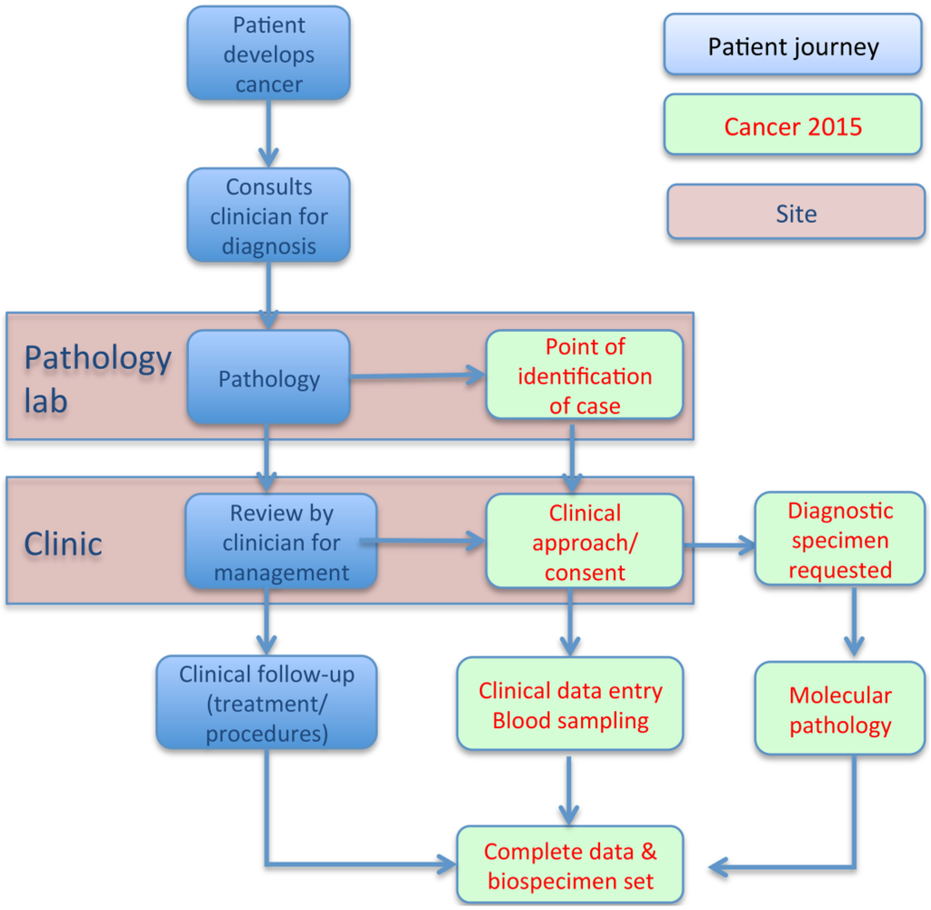 Jpm 05 00354 g001 1024