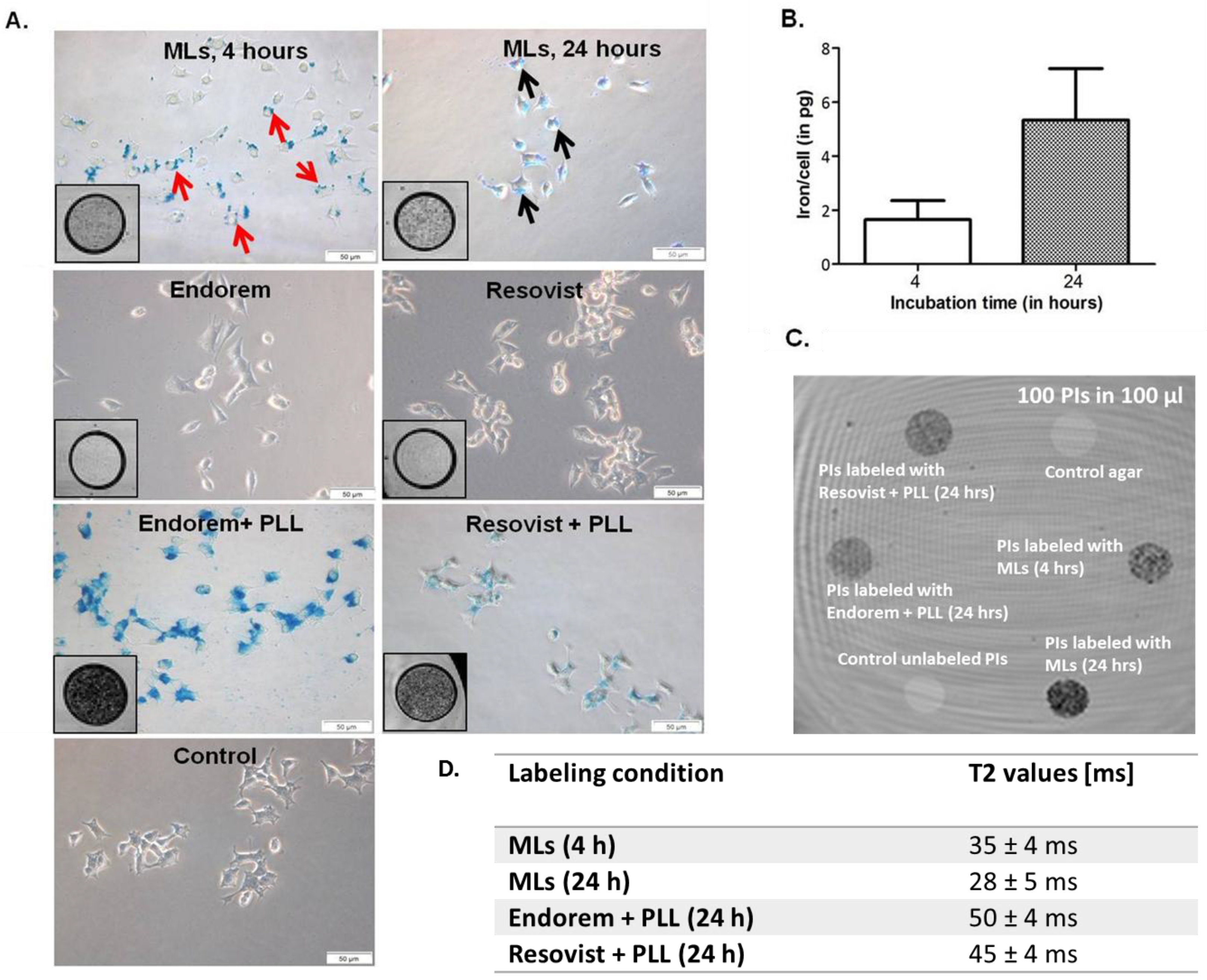 Jpm 08 00012 g001 Jpm 08 00012 g001