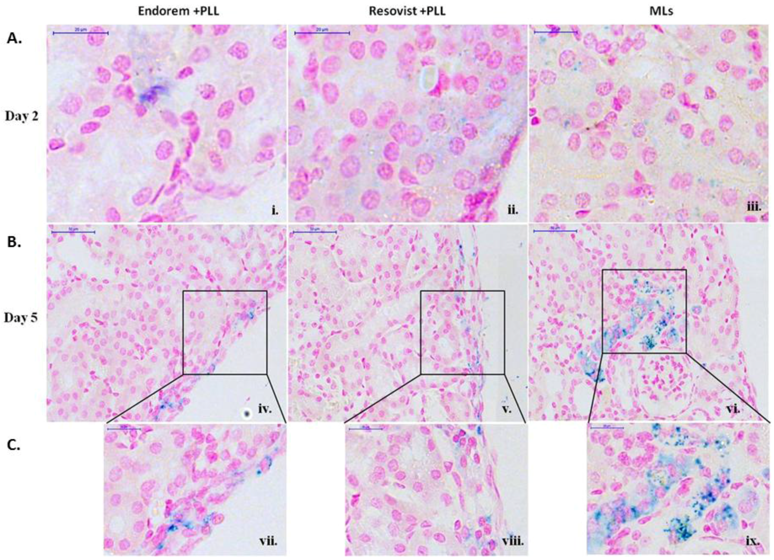 Jpm 08 00012 g007 Jpm 08 00012 g007
