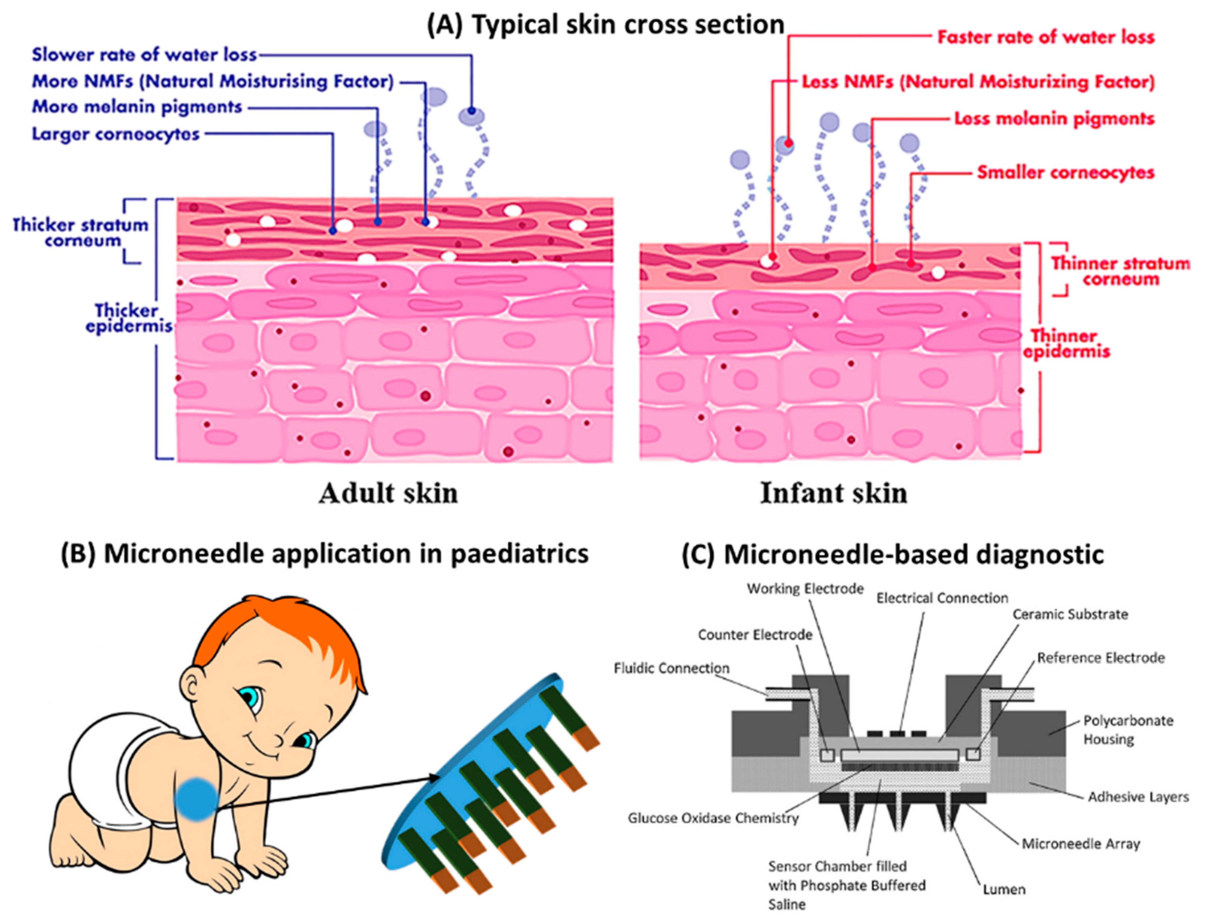 Jpm 09 00049 g001 Jpm 09 00049 g001