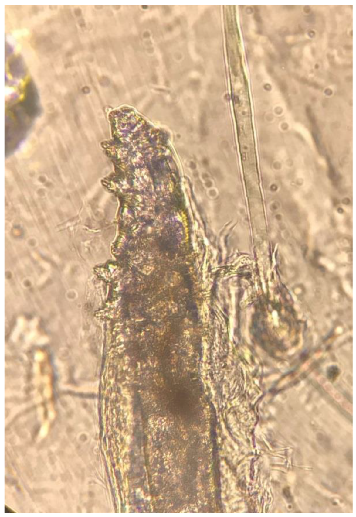 Jpm 10 00039 g001 Jpm 10 00039 g001