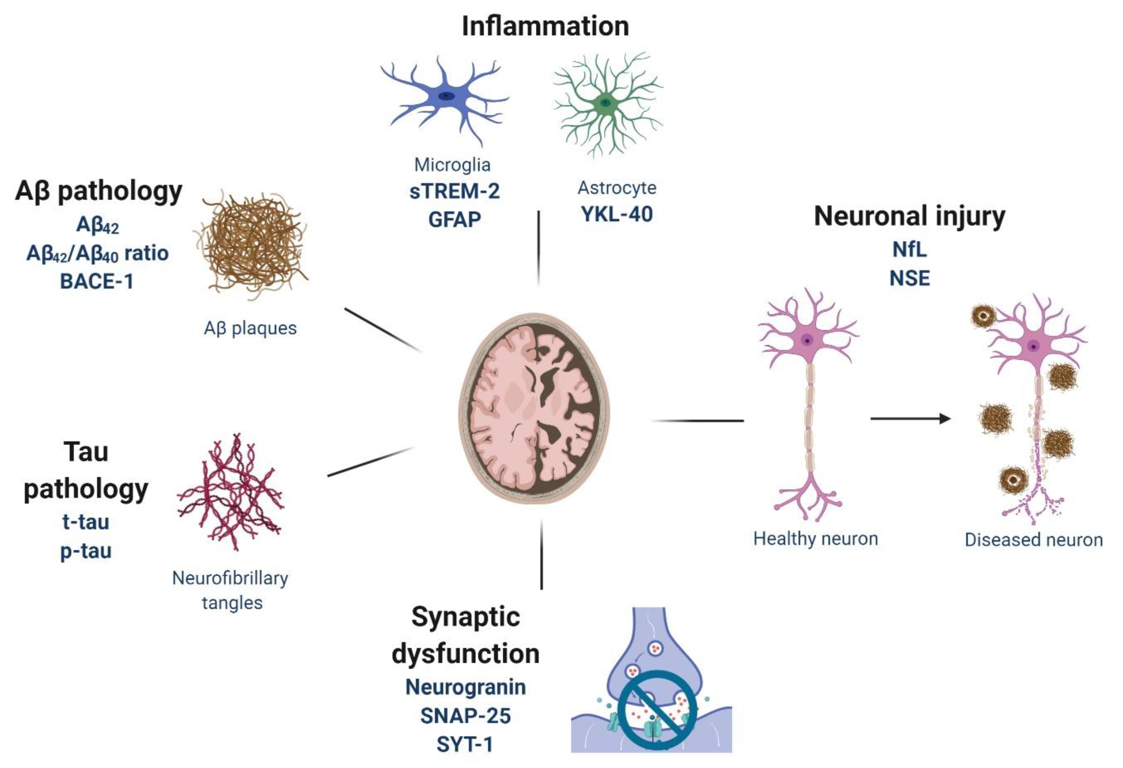 Jpm 10 00061 g001 Jpm 10 00061 g001