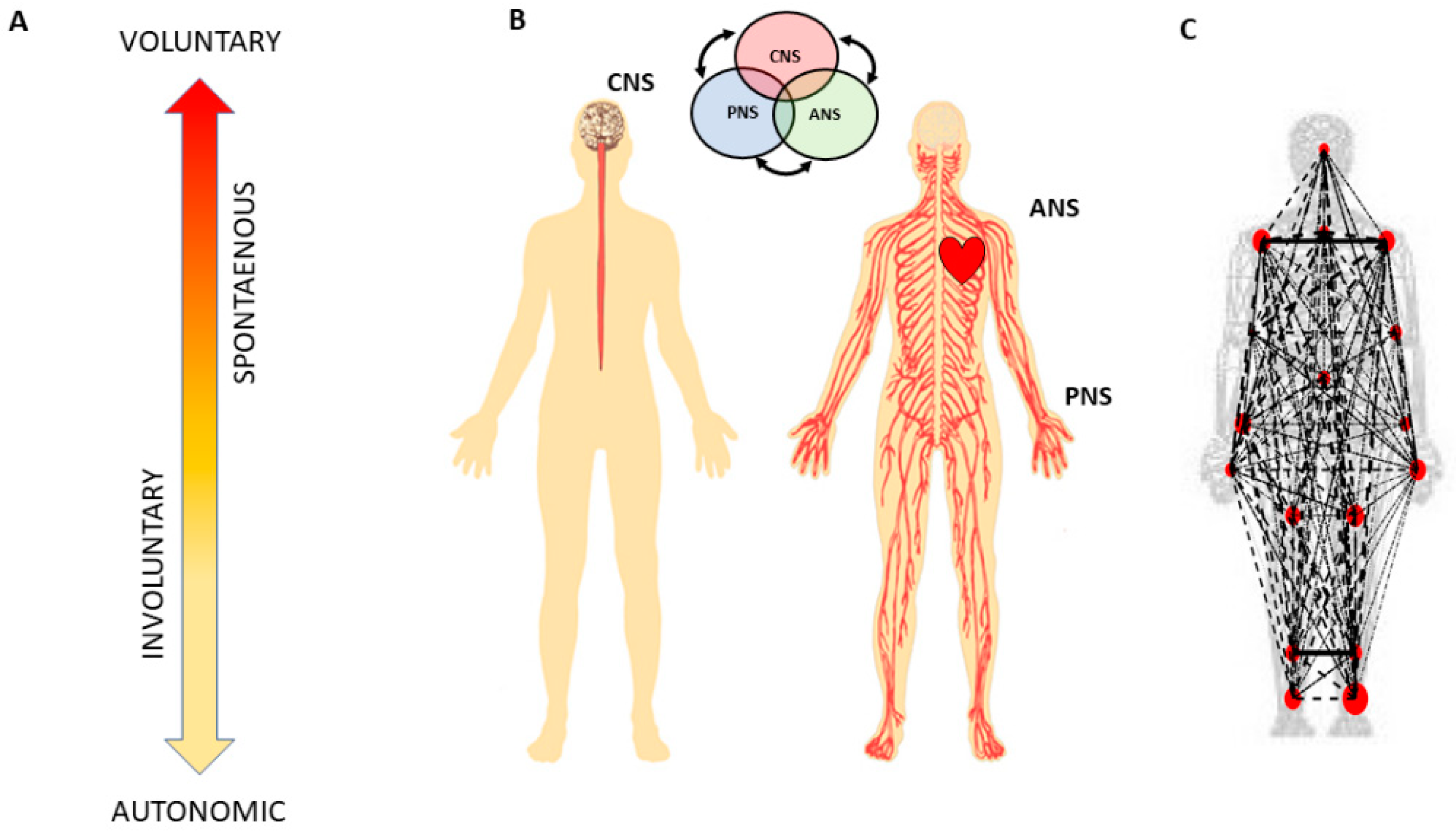 Jpm 10 00076 g001 Jpm 10 00076 g001