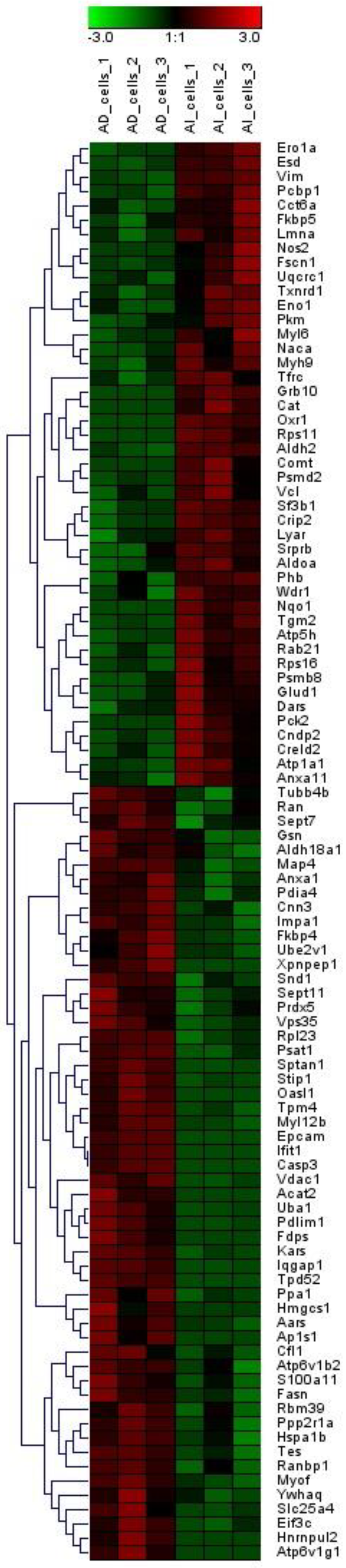 Jpm 10 00083 g001 Jpm 10 00083 g001