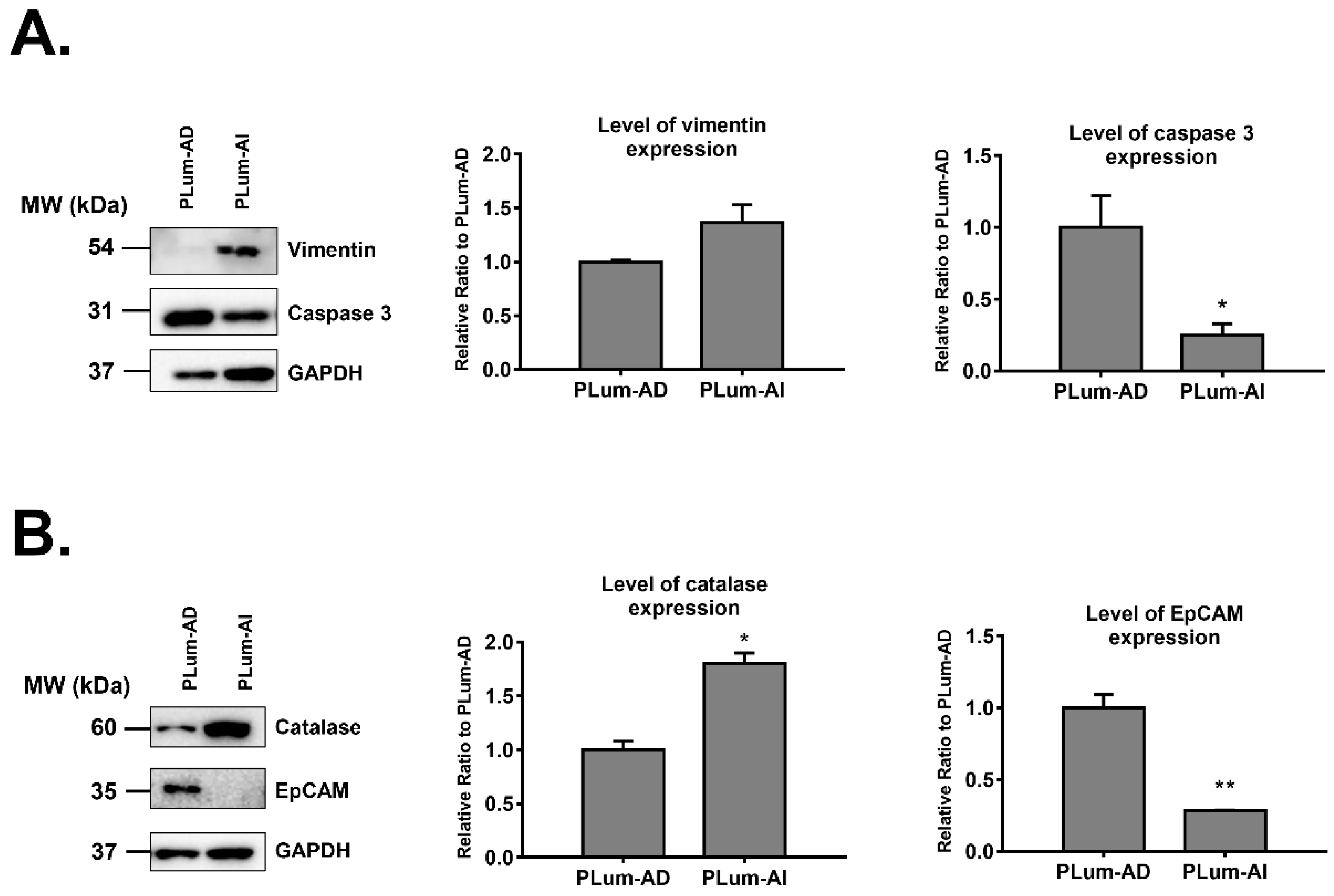 Jpm 10 00083 g003 Jpm 10 00083 g003