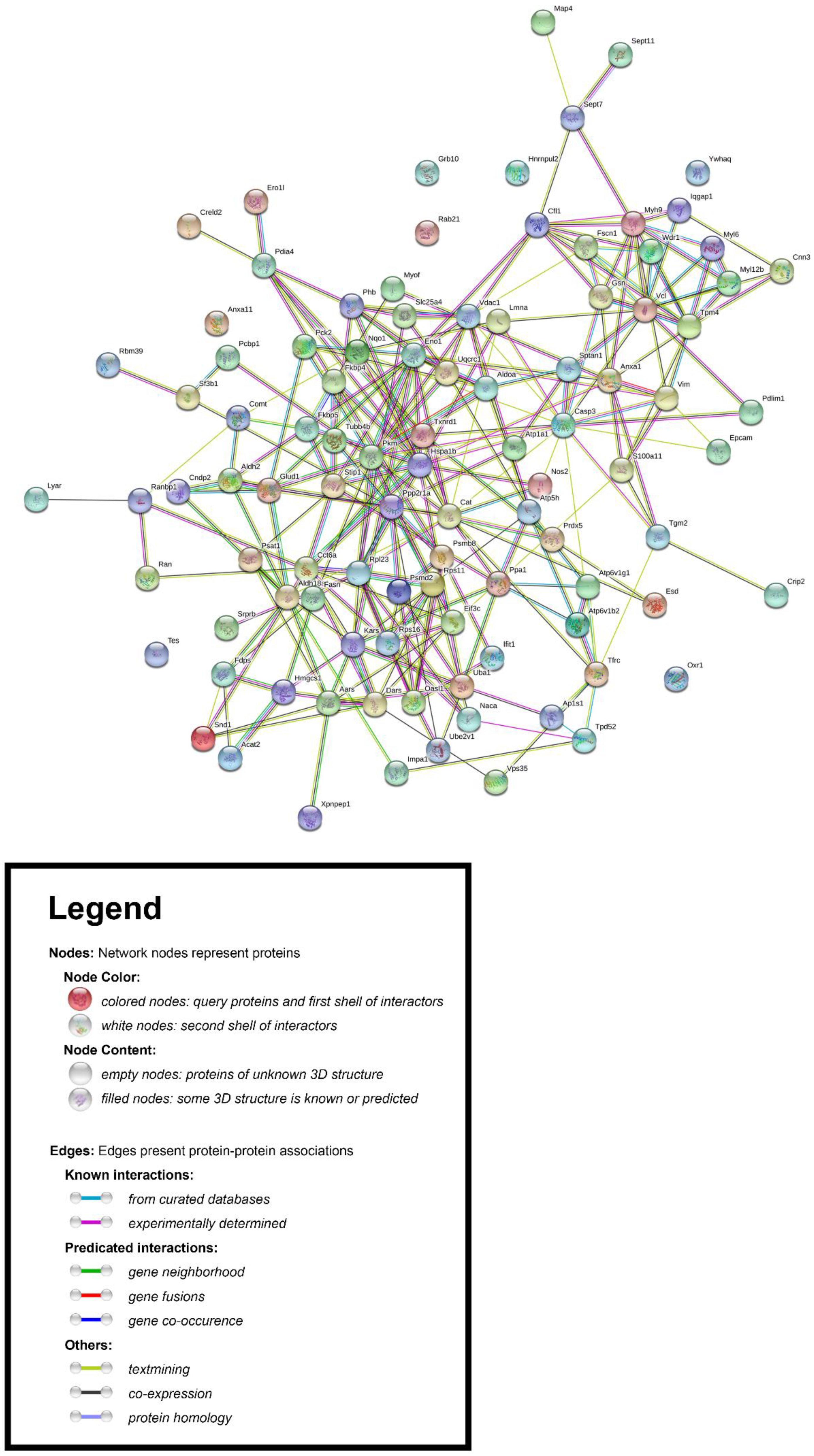 Jpm 10 00083 g004 Jpm 10 00083 g004