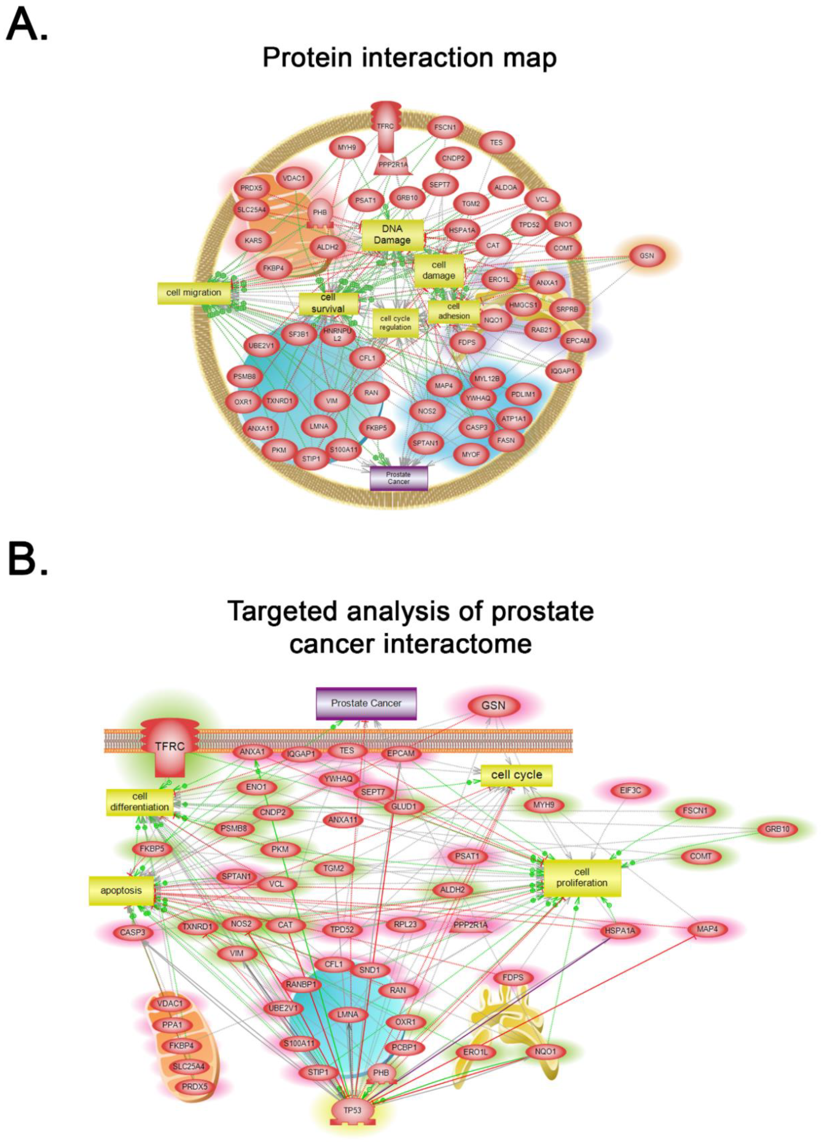 Jpm 10 00083 g005 Jpm 10 00083 g005