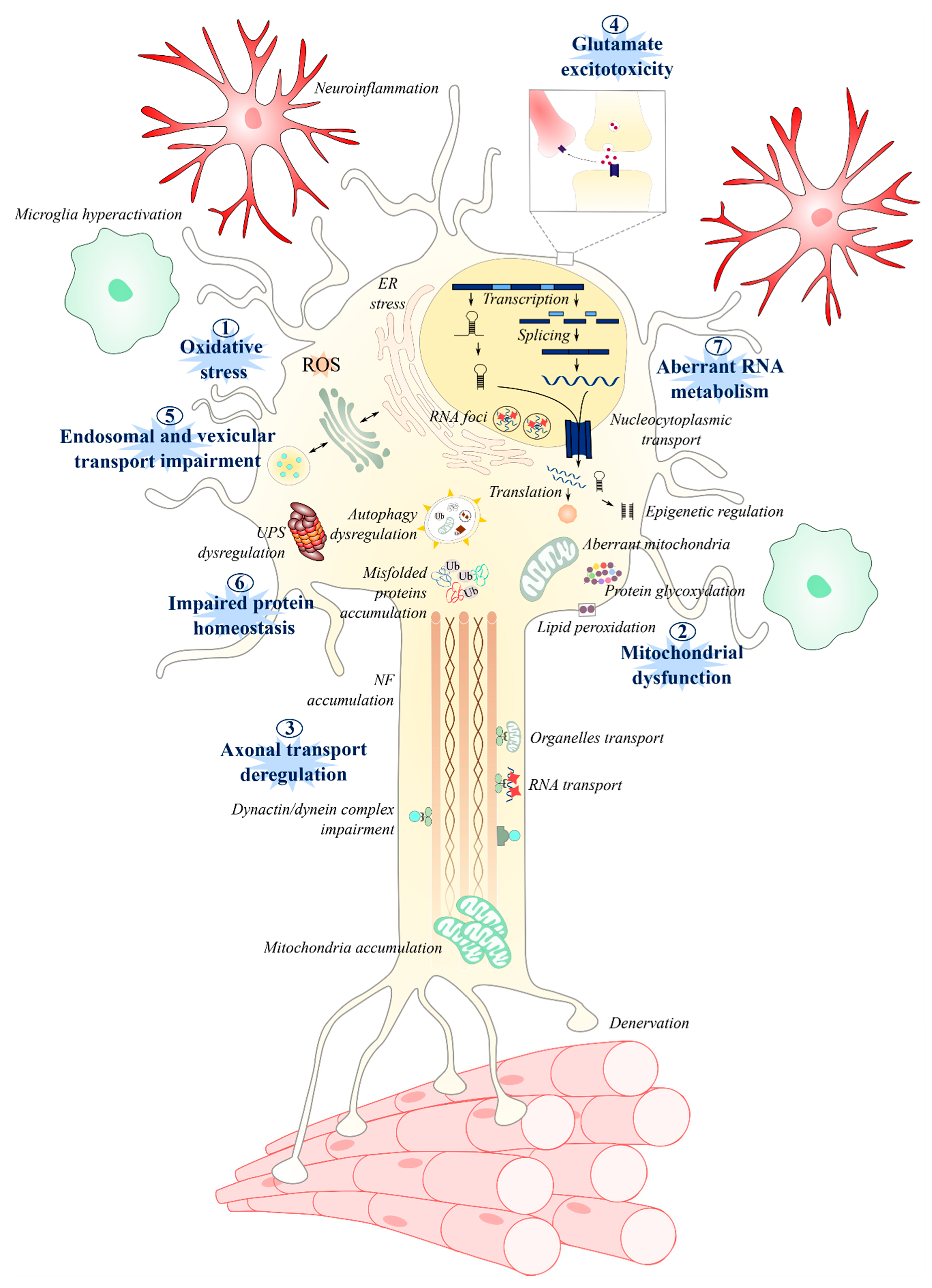 Jpm 10 00101 g004 Jpm 10 00101 g004
