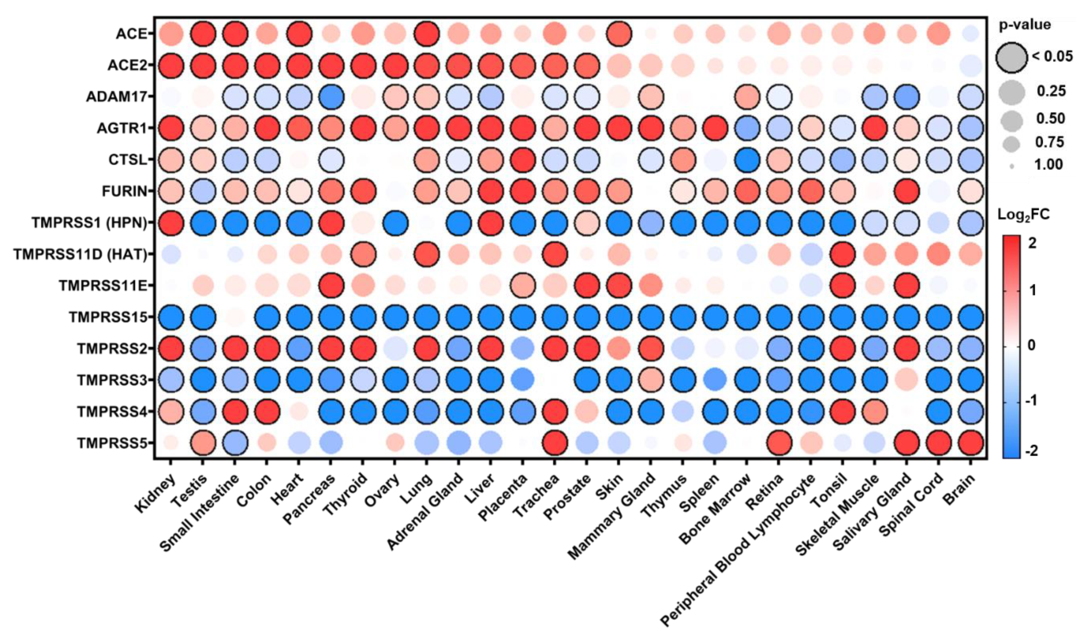 Jpm 10 00146 g001 Jpm 10 00146 g001