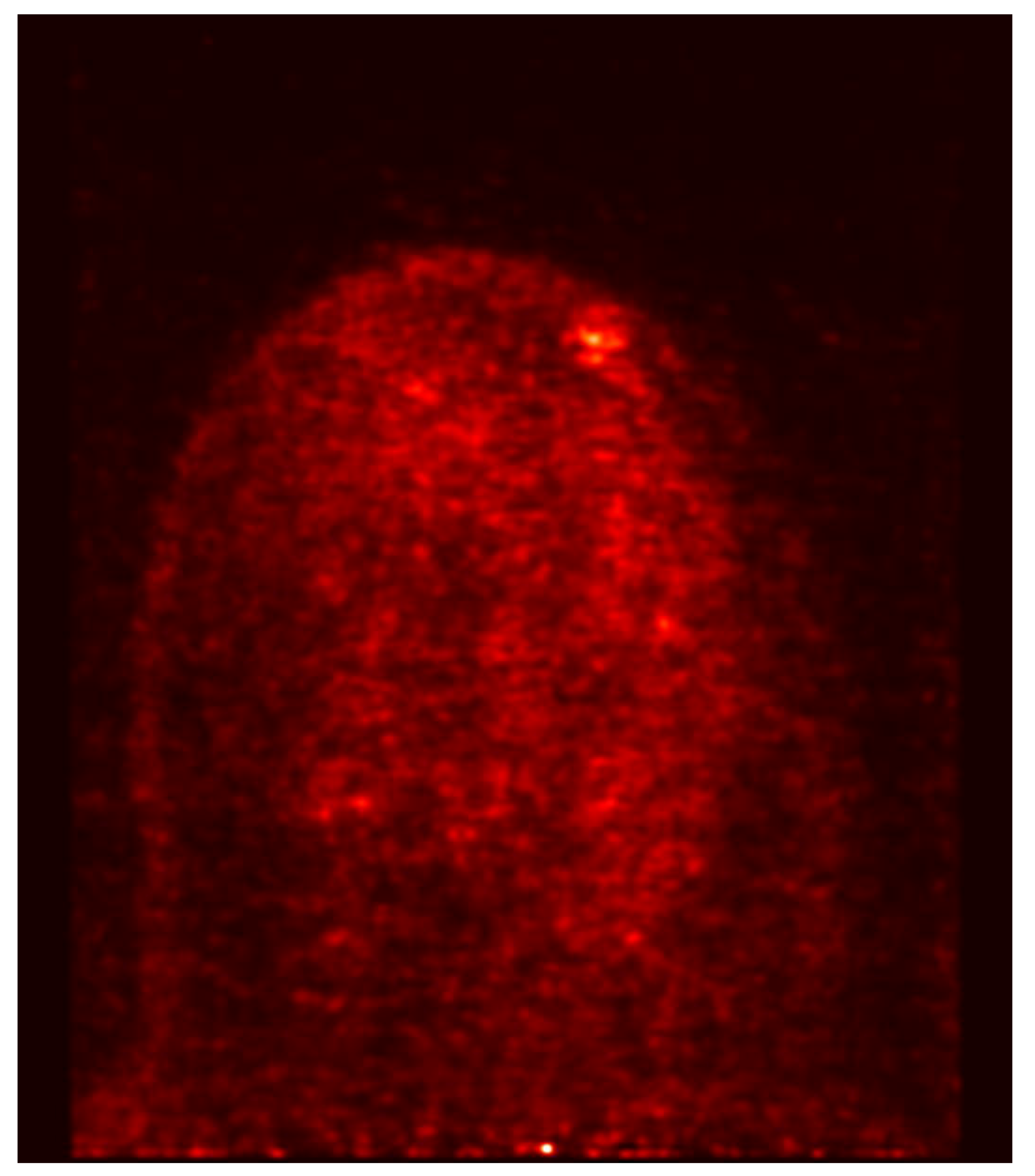 Jpm 10 00148 g005 Jpm 10 00148 g005