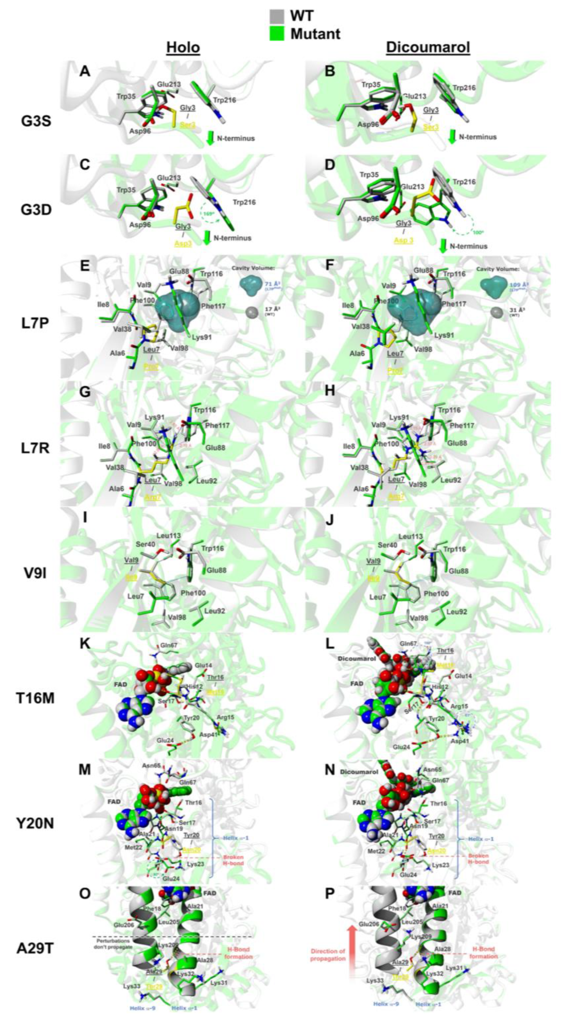 Jpm 10 00207 g007 Jpm 10 00207 g007