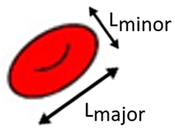 Jpm 10 00249 i001