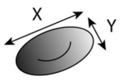 Jpm 10 00249 i003