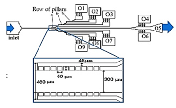 Jpm 10 00249 i006