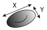 Jpm 10 00249 i007